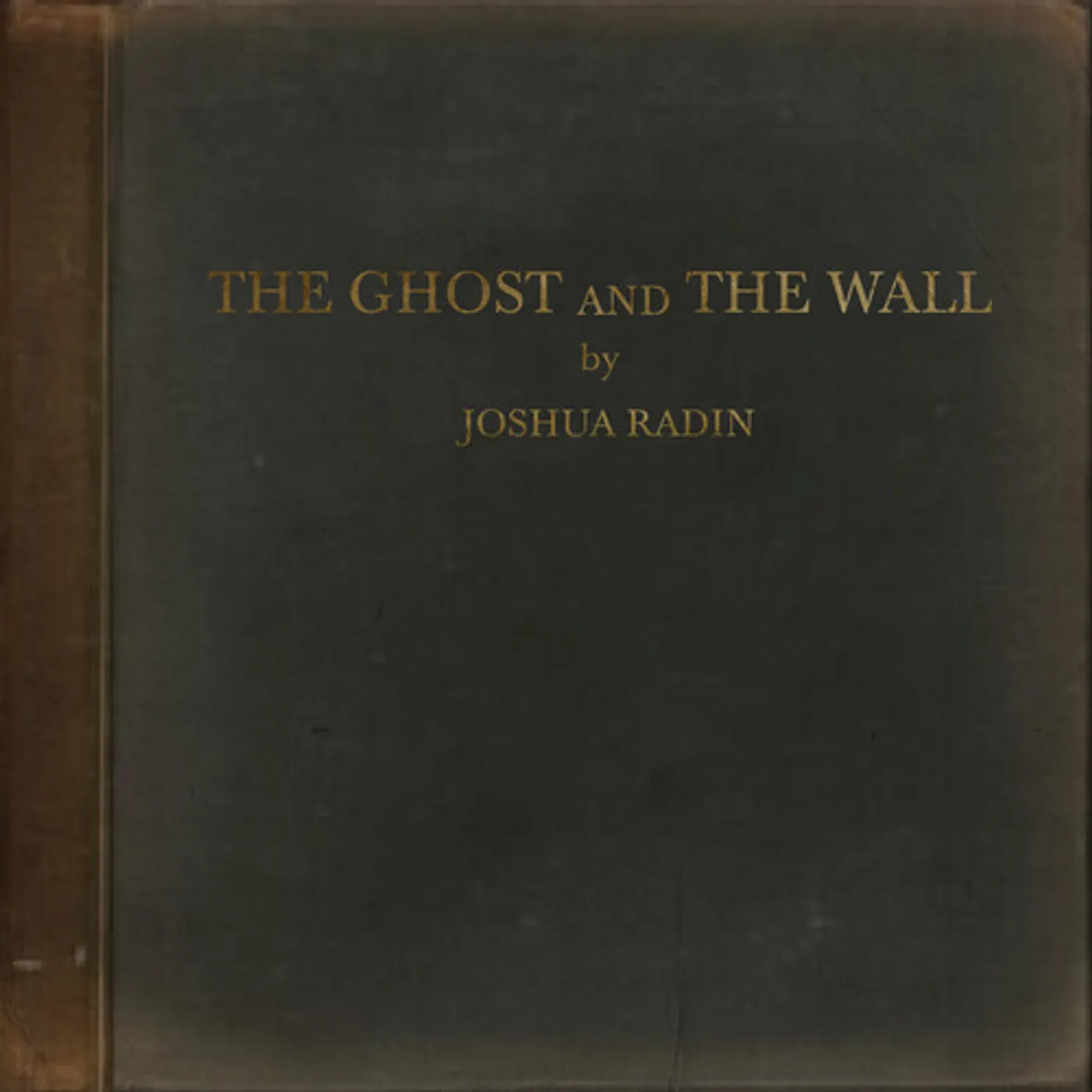 Joshua Radin GHOST & THE WALL Vinyl Record