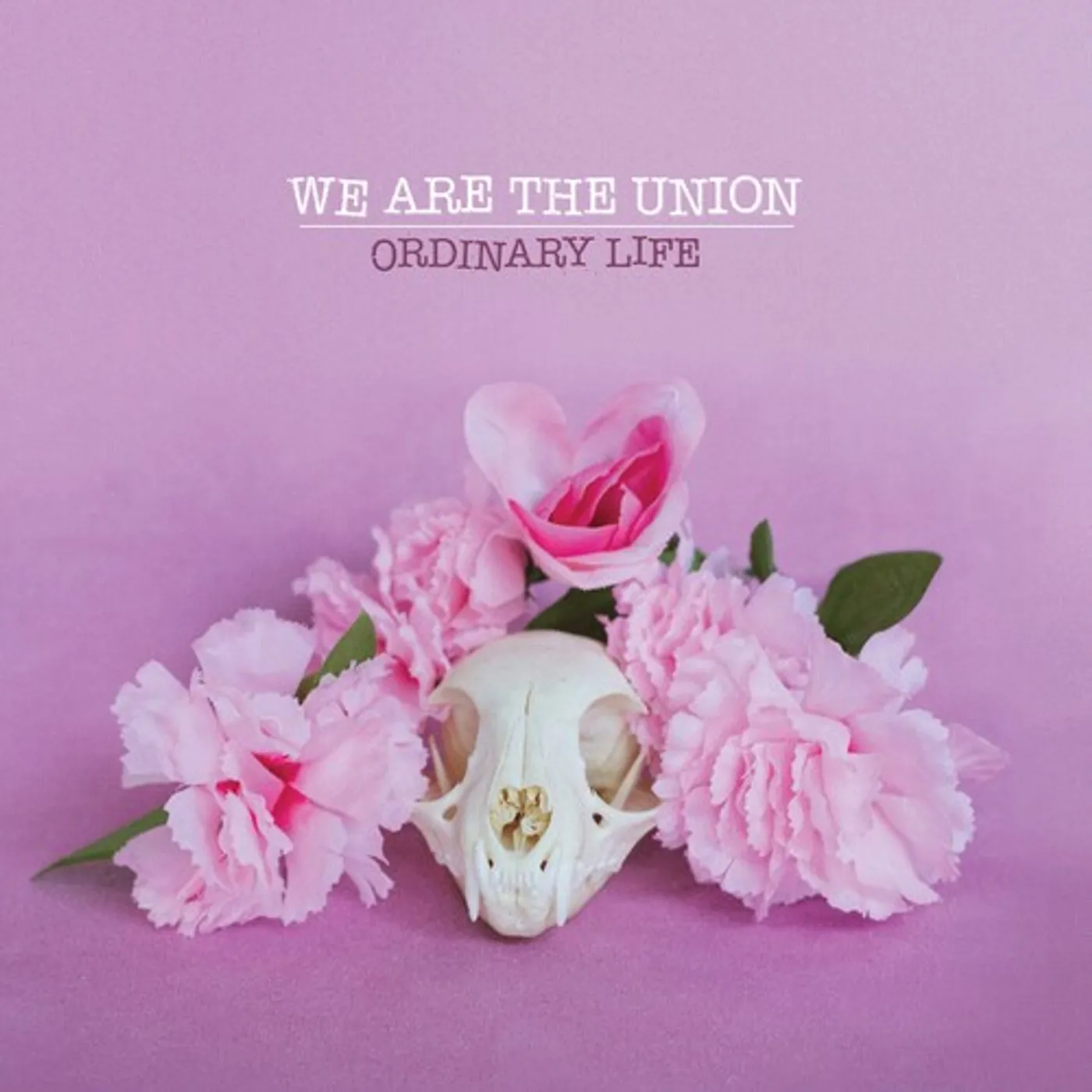 We Are The Union Ordinary Life Vinyl Record
