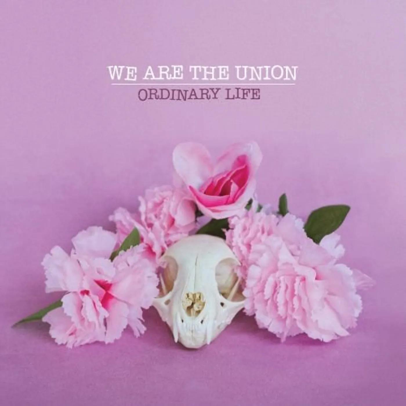We Are The Union Ordinary Life Vinyl Record