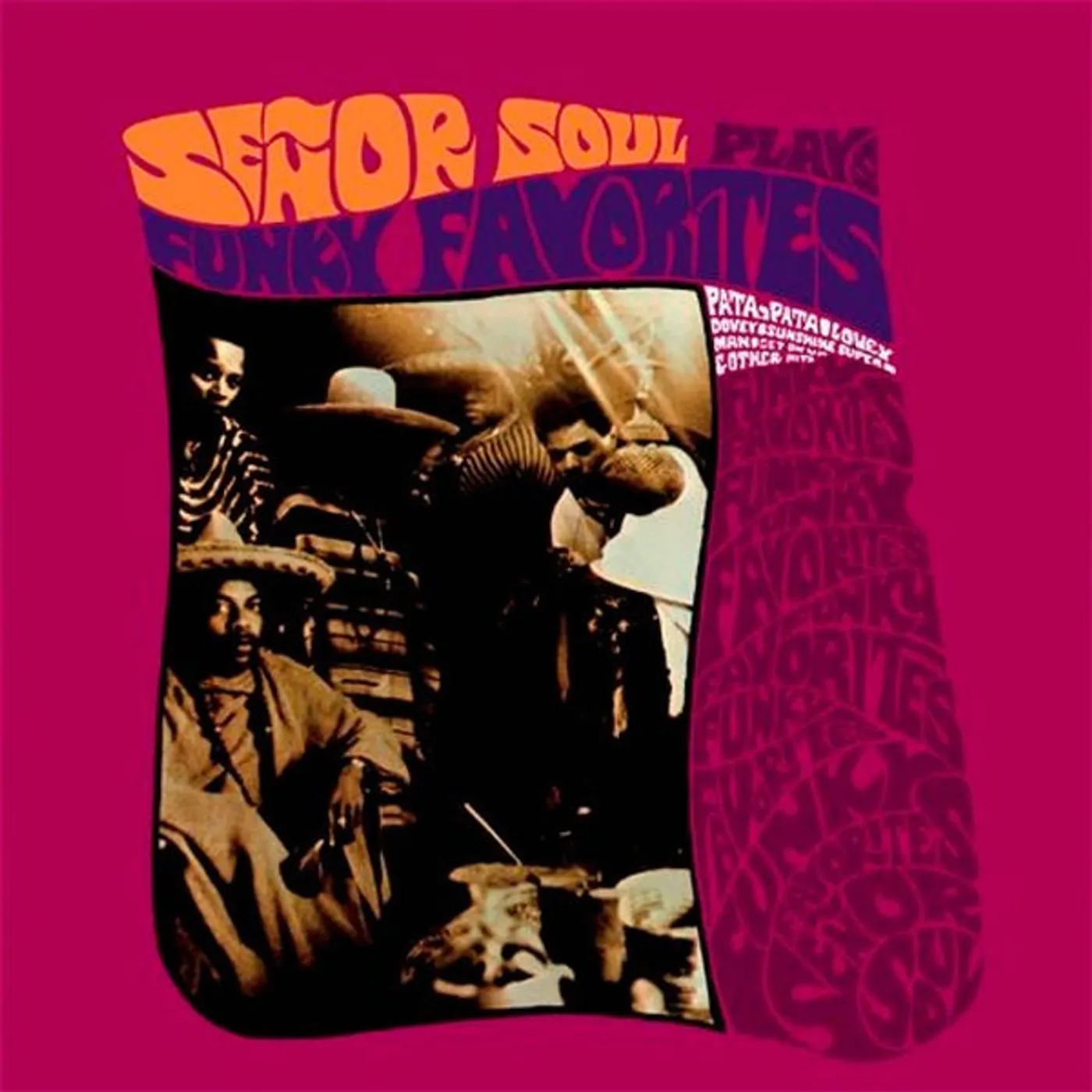 Senõr Soul Plays Funky Favorites Vinyl Record