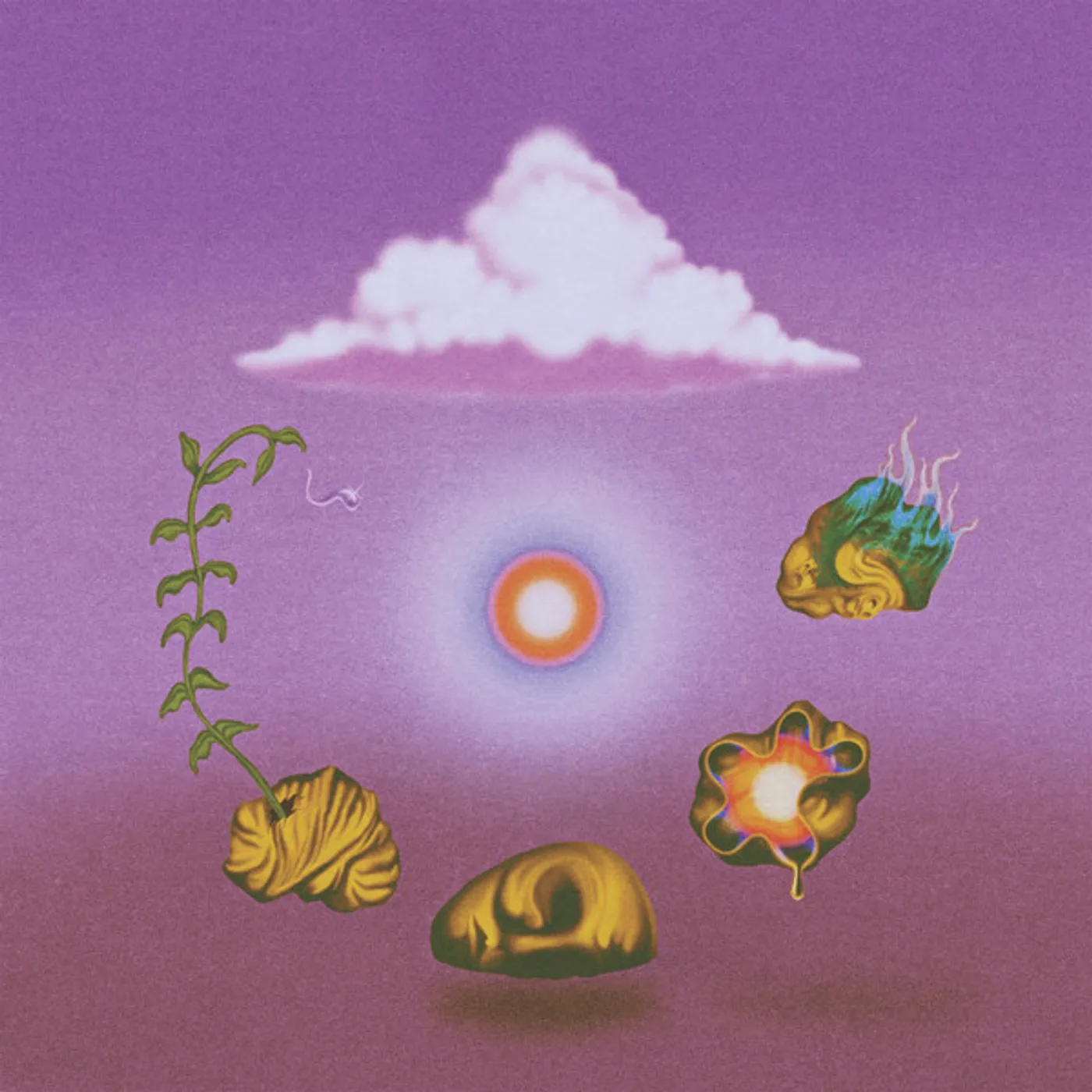 Evolfo Site out of Mind Vinyl Record