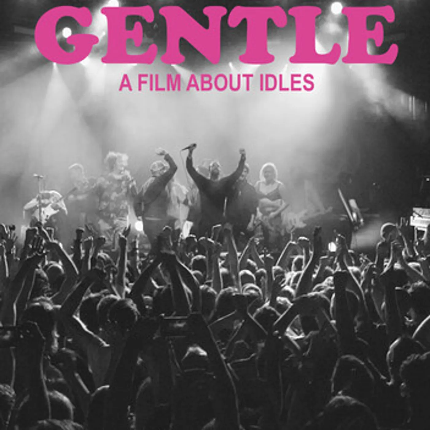 DON'T GO GENTLE: A FILM ABOUT IDLES DVD