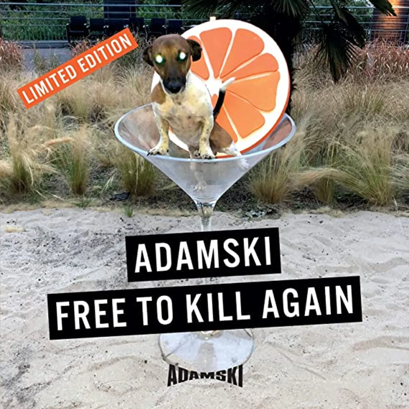 Adamski Free to Kill Again Vinyl Record