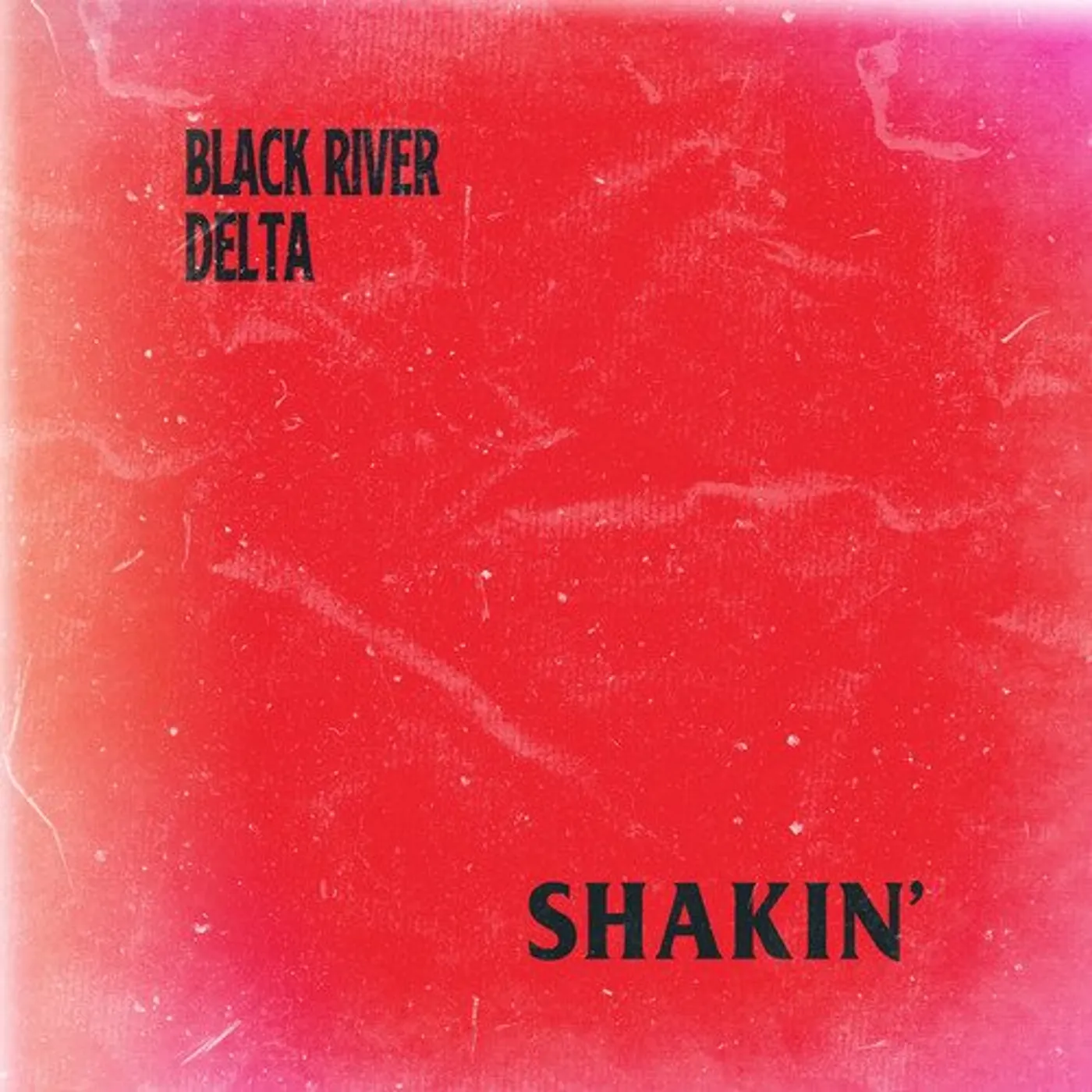 Black River Delta Shakin' Vinyl Record