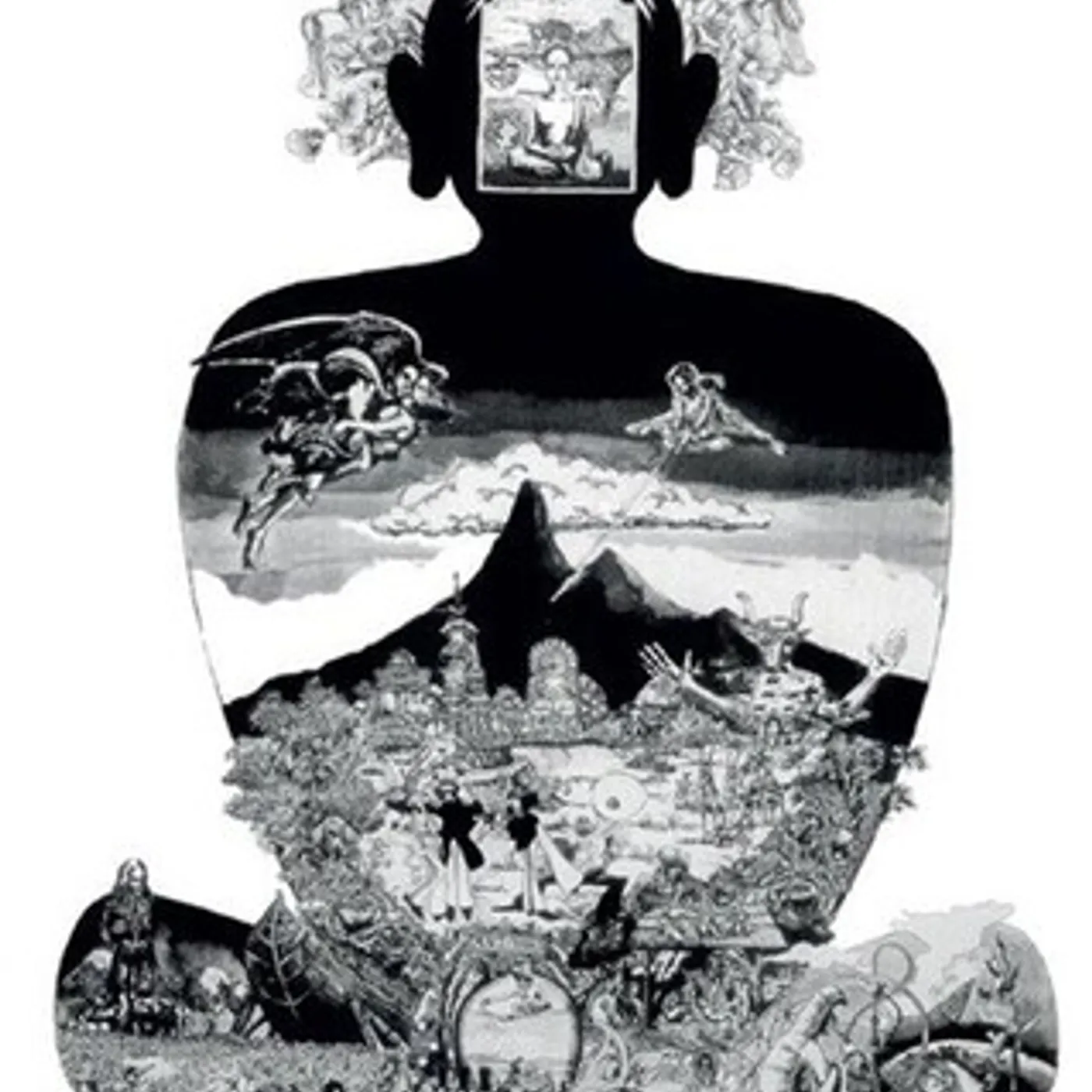 Flower Travellin' Band Satori Vinyl Record