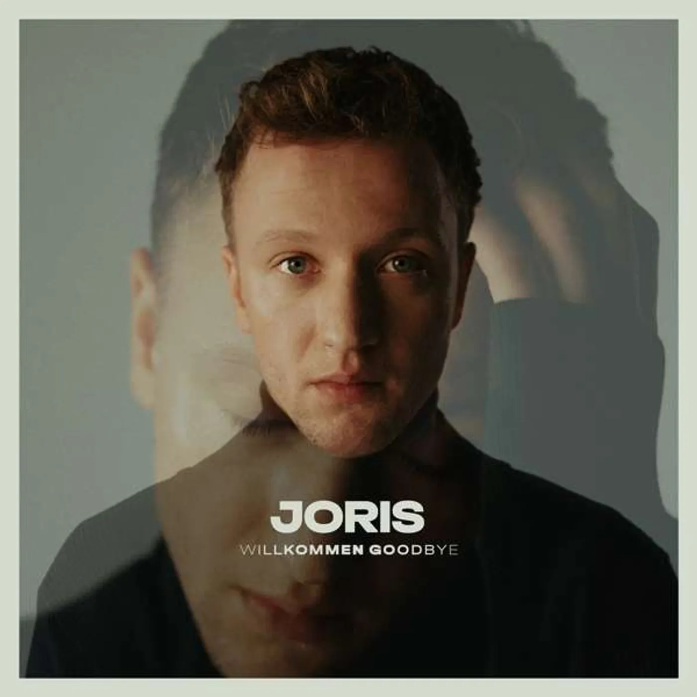 JORIS Willkommen Goodbye Vinyl Record