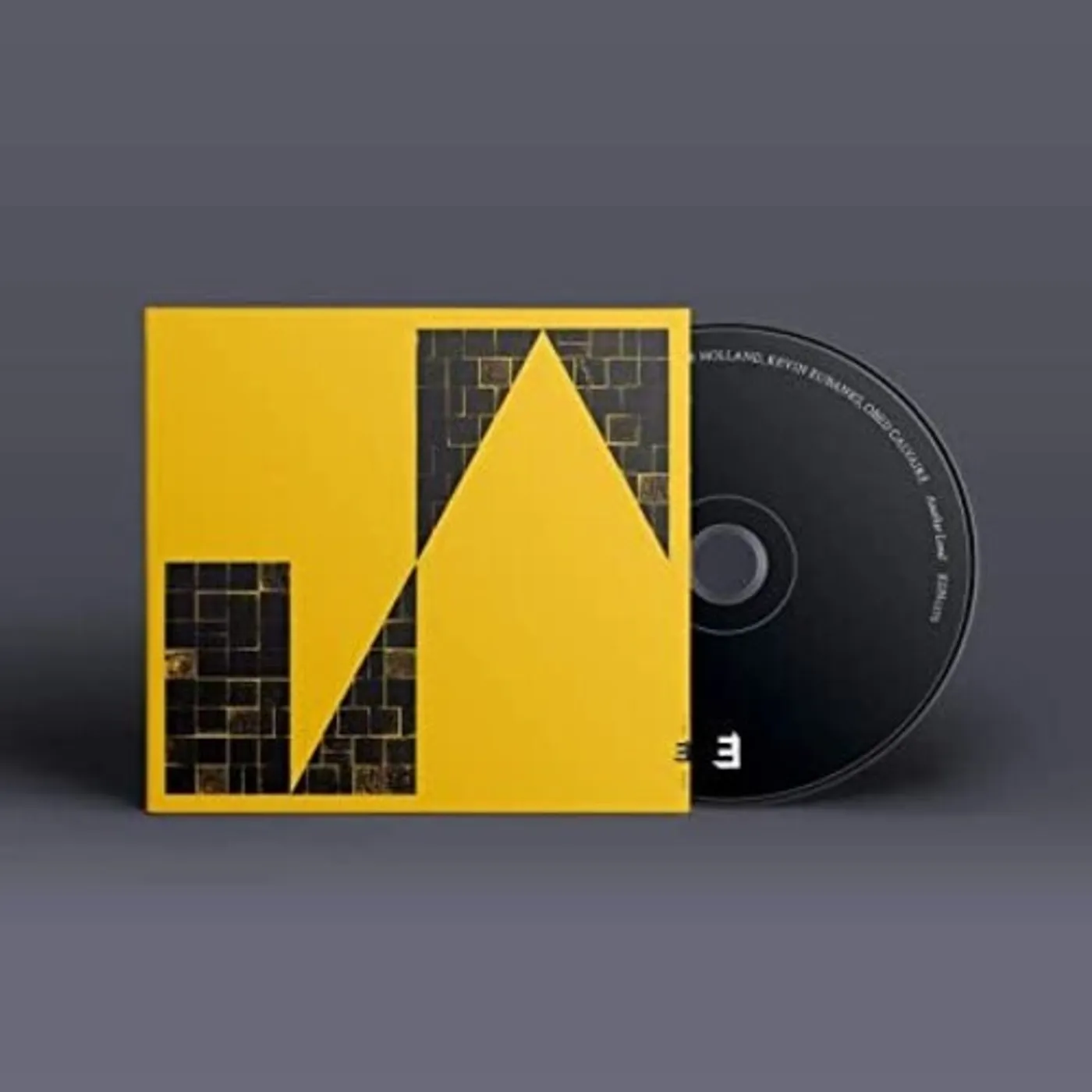 Dave Holland ANOTHER LAND CD