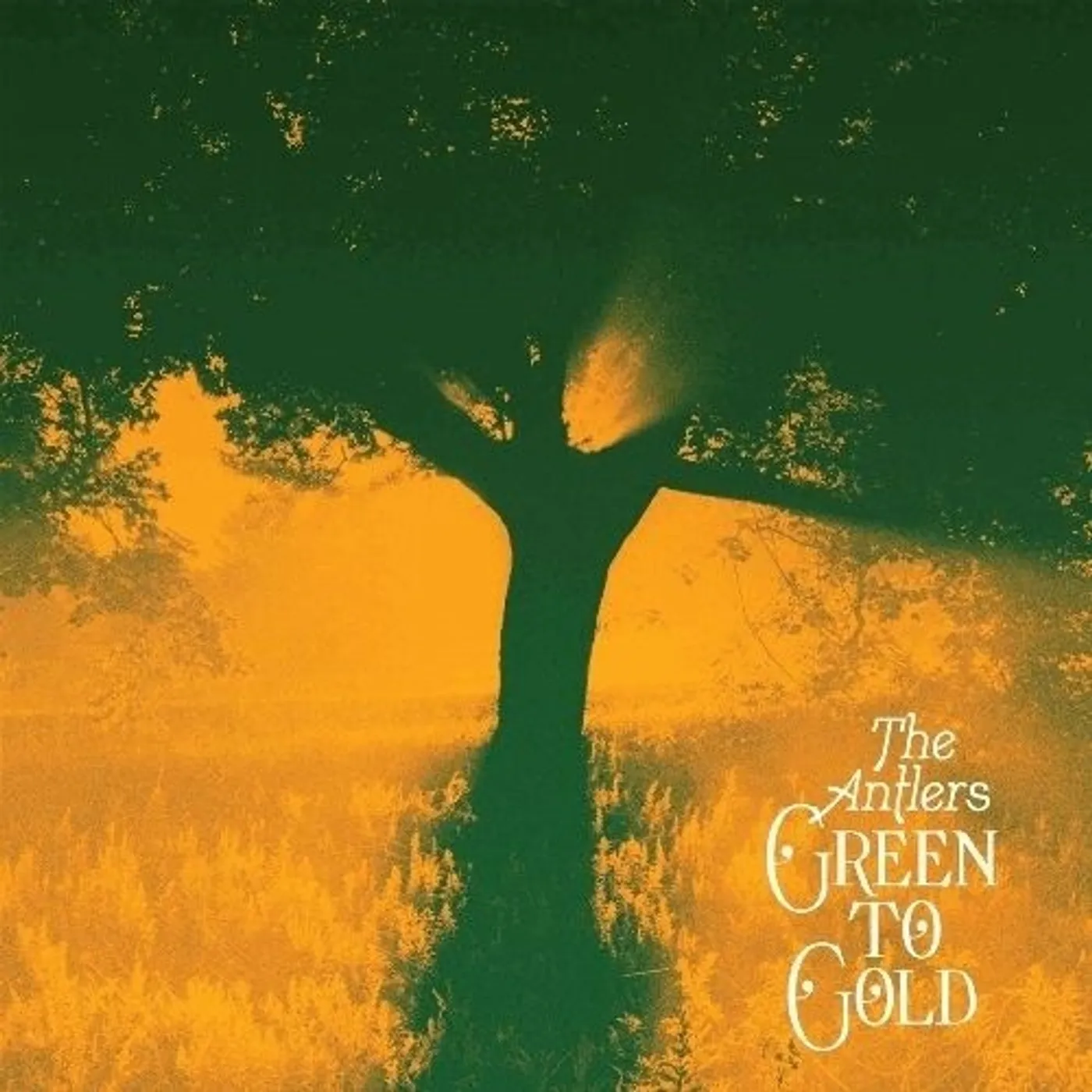 Antlers Green To Gold Vinyl Record