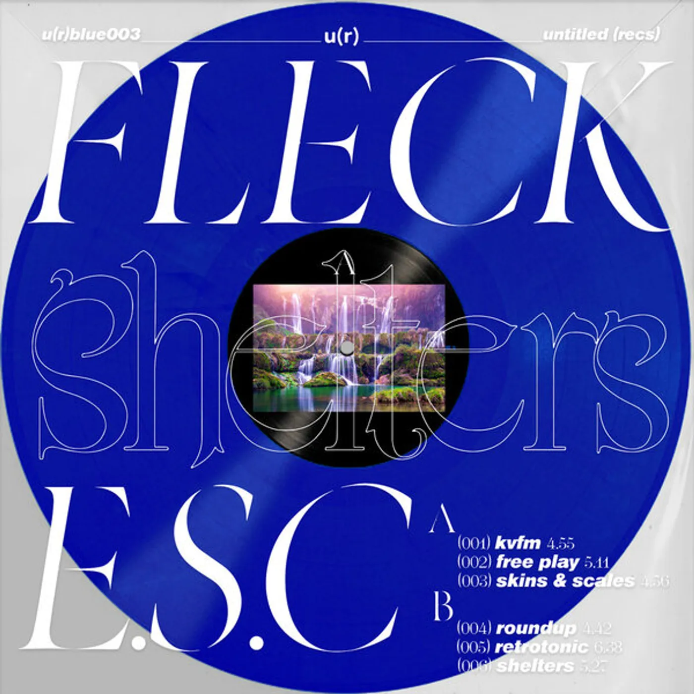 Fleck ESC SHELTERS Vinyl Record