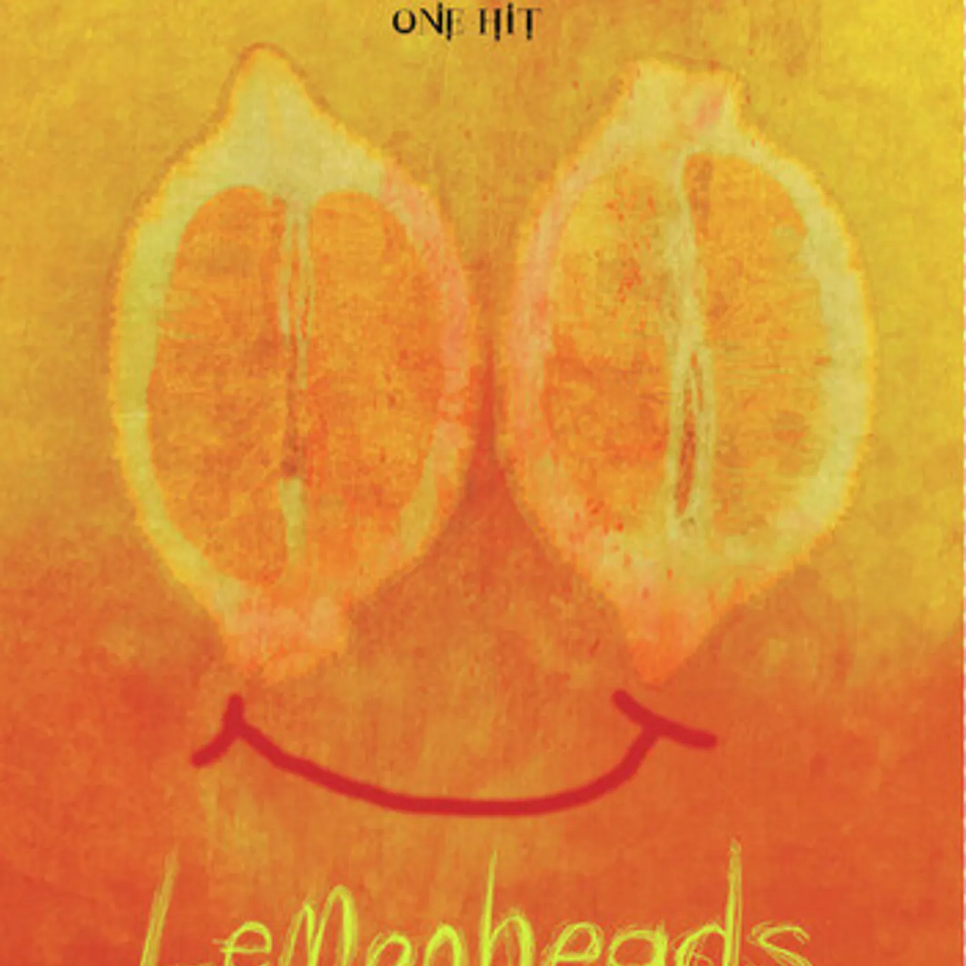 The Lemonheads DVD