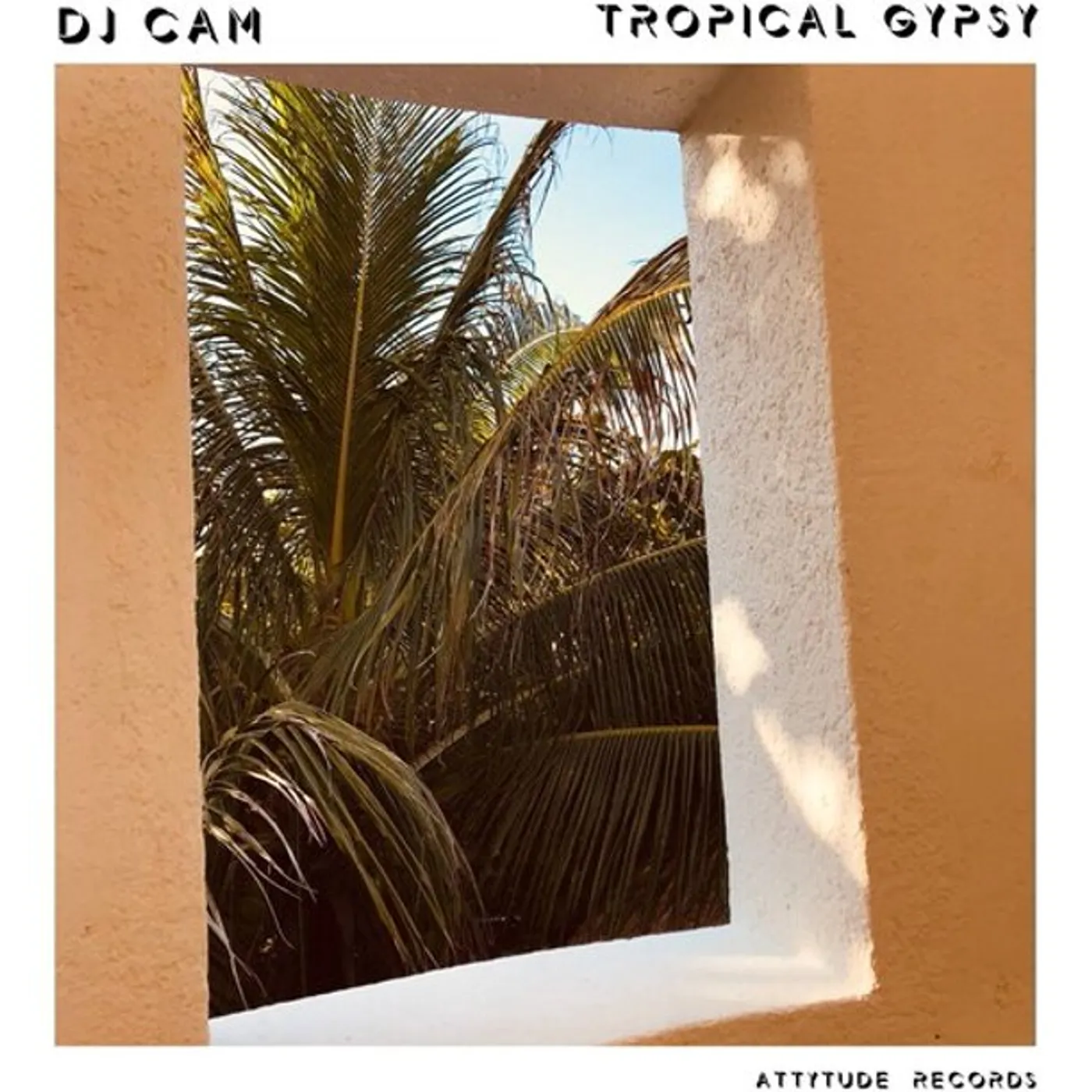DJ Cam TROPICAL GYPSY Vinyl Record