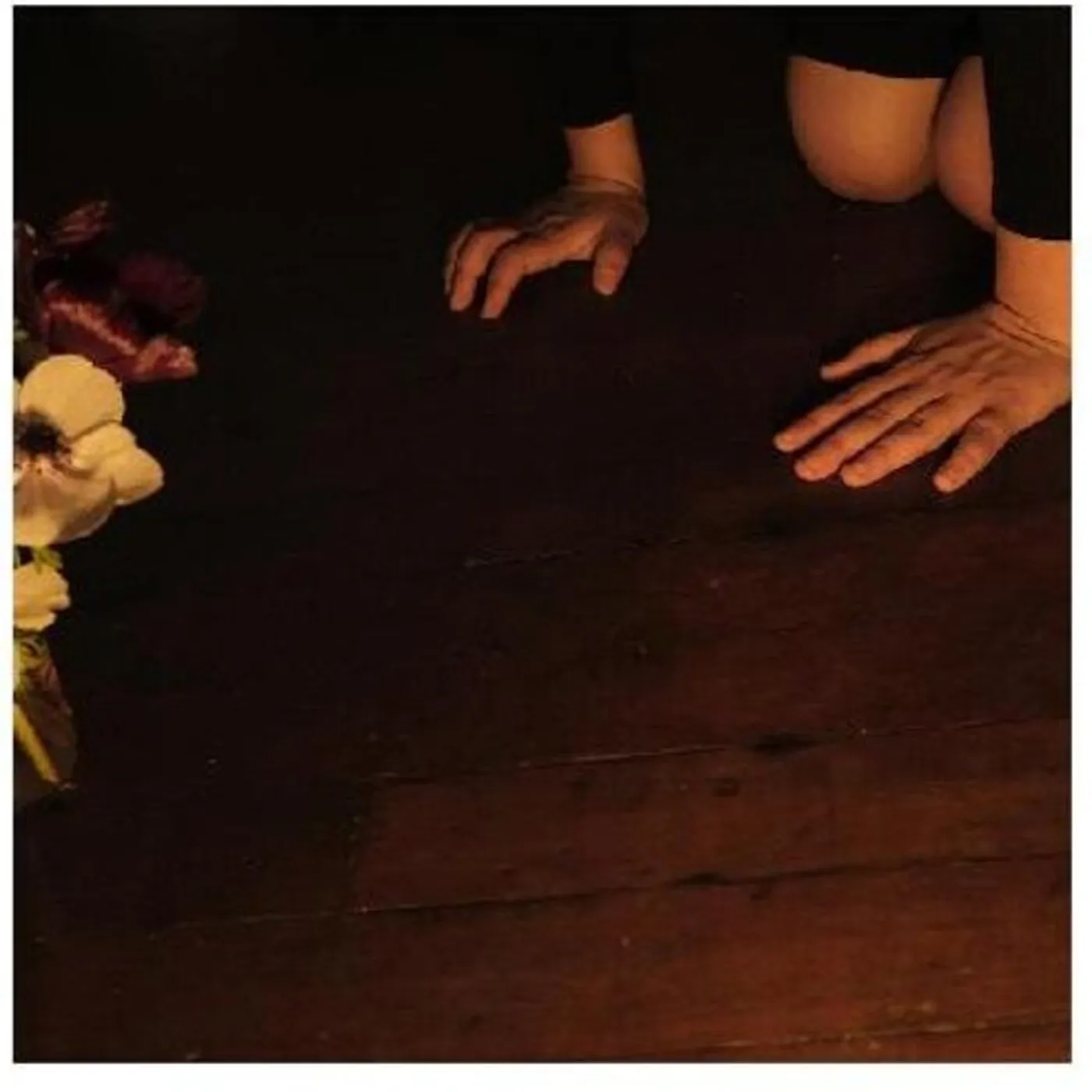 Sally Decker IN THE TENDER DREAM CD