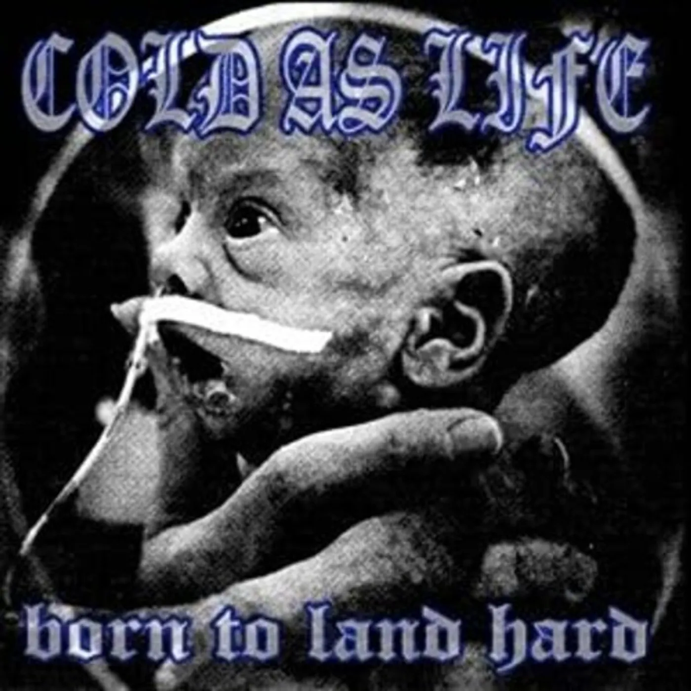 Cold As Life BORN TO LAND HARD CD