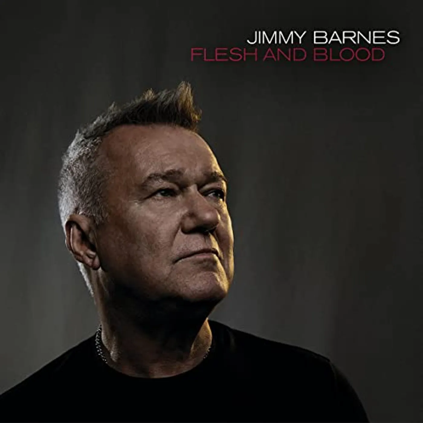 Jimmy Barnes Flesh And Blood Vinyl Record