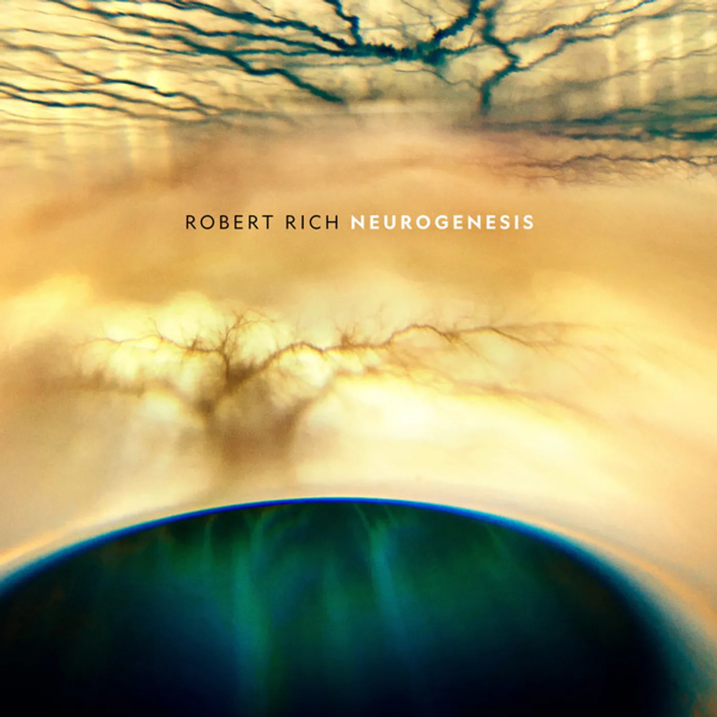 Robert Rich Neurogenesis Vinyl Record