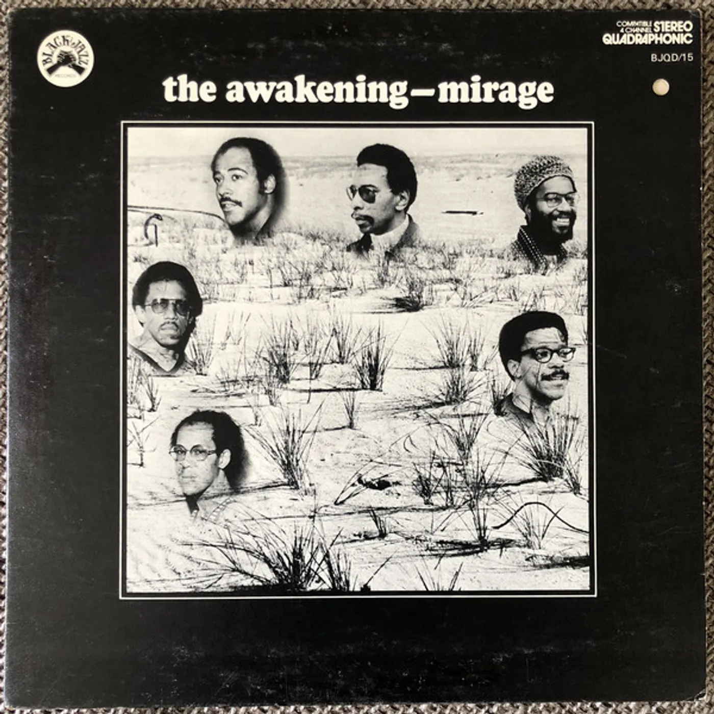 The Awakening Mirage Vinyl Record