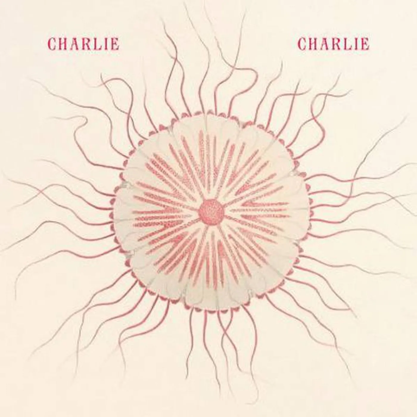 Charlie Charlie SAVE US (FEAT. MAPEI) / CHARLY Vinyl Record