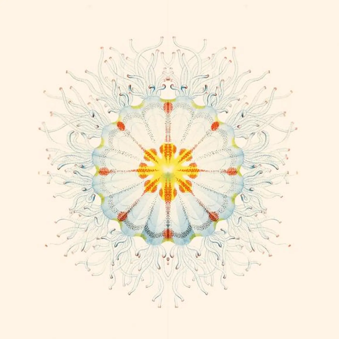 Charlie Charlie LITTE THINGS Vinyl Record