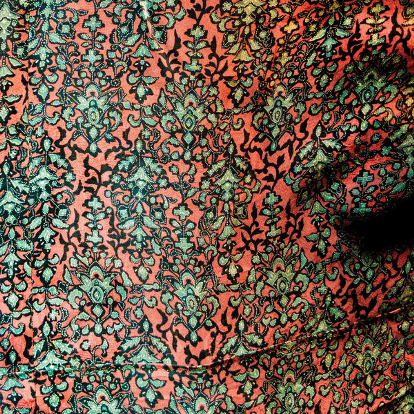 Jaimie Branch FLY or DIE LIVE Vinyl Record