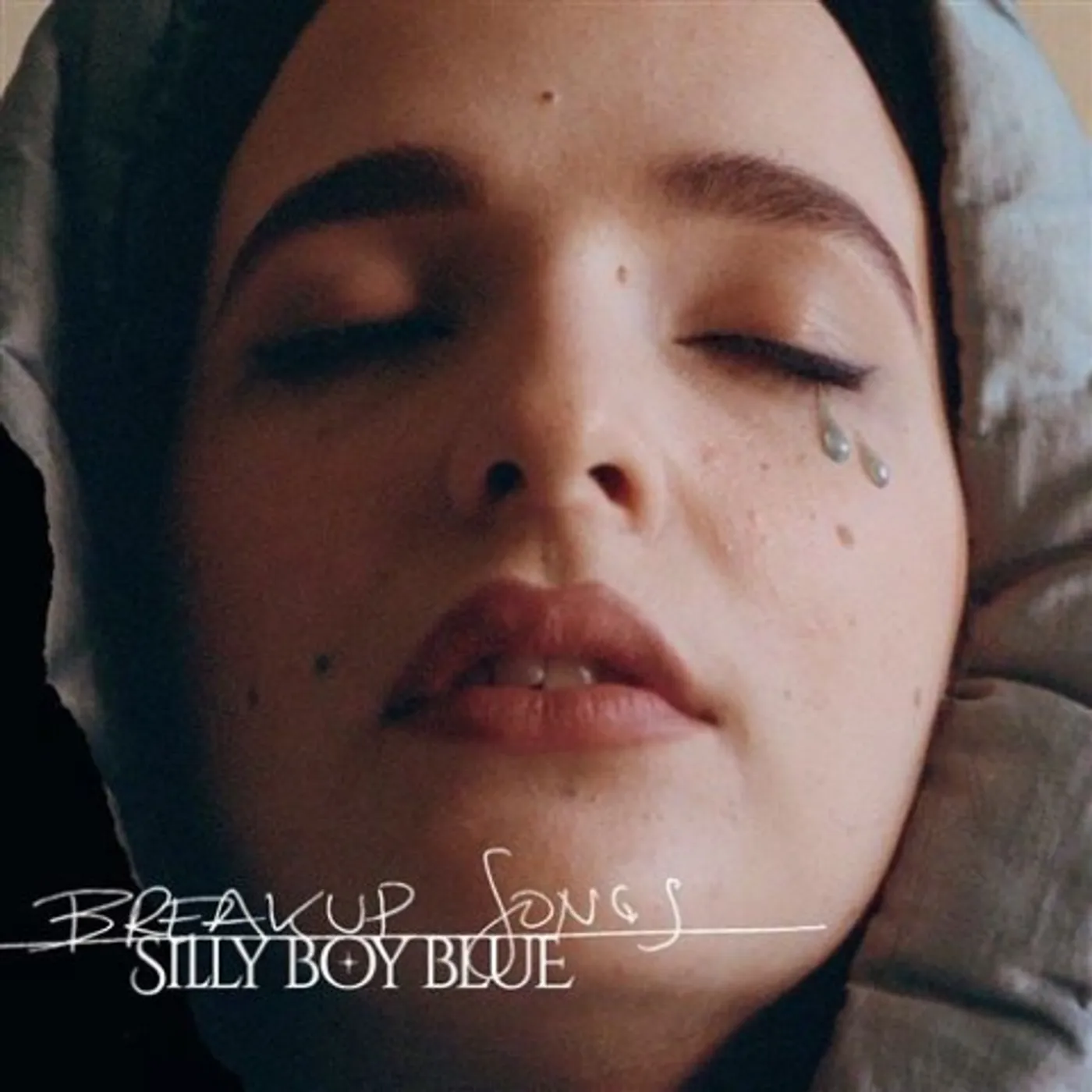 Silly Boy Blue Breakup Songs Vinyl Record