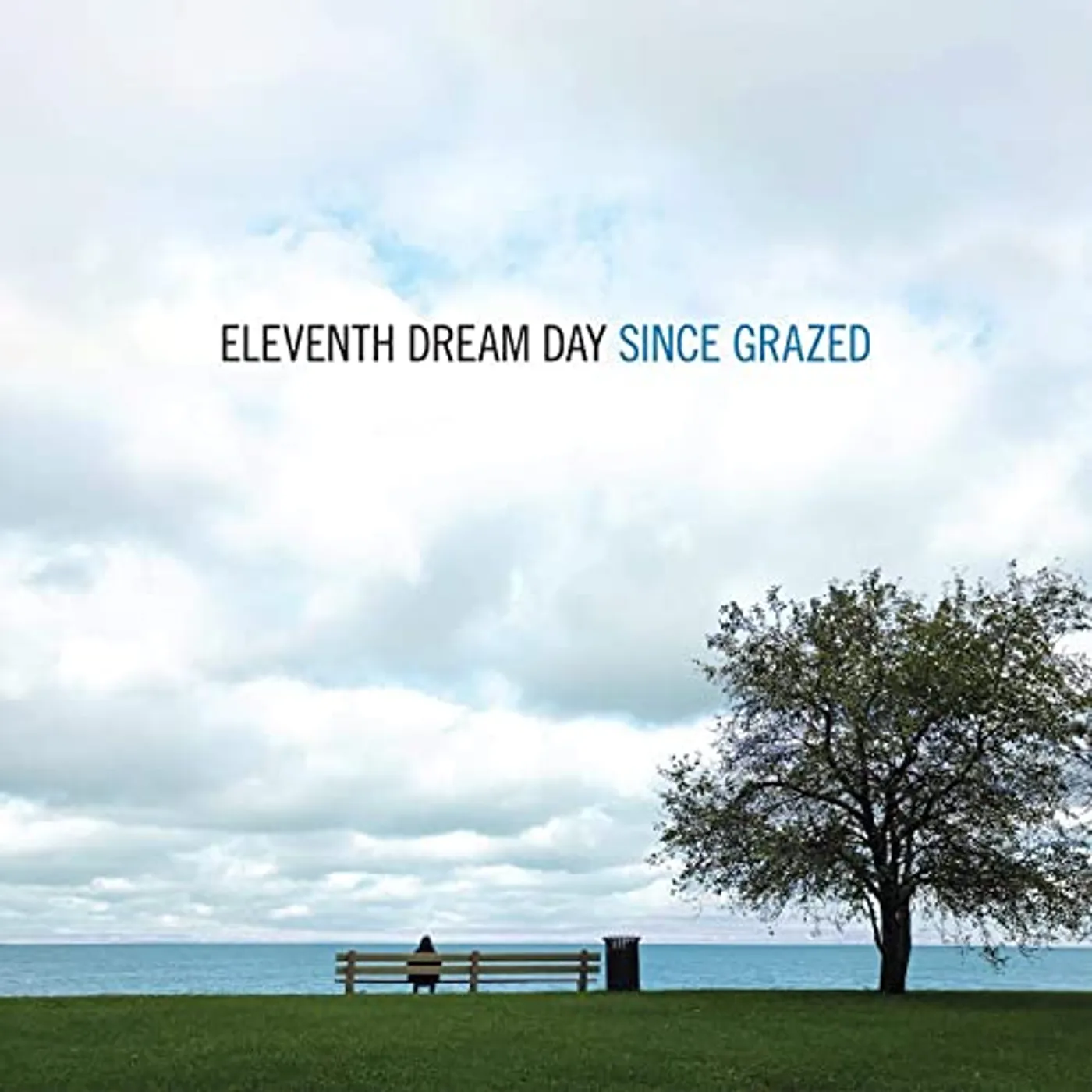 Eleventh Dream Day Since Grazed Vinyl Record