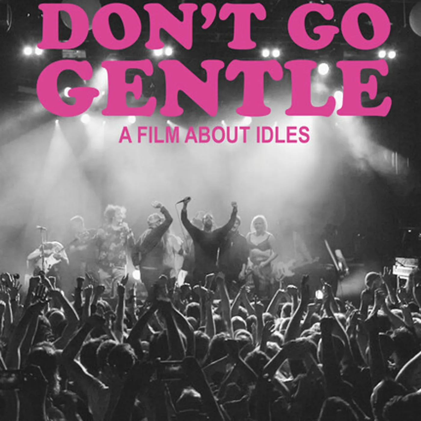 DON'T GO GENTLE: A FILM ABOUT IDLES Blu-ray