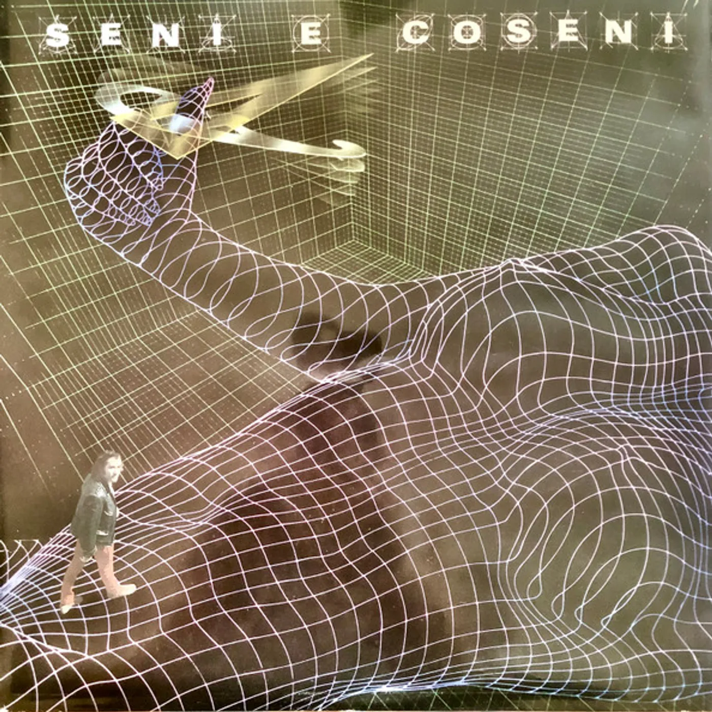 Ivan Graziani Seni E Coseni Vinyl Record