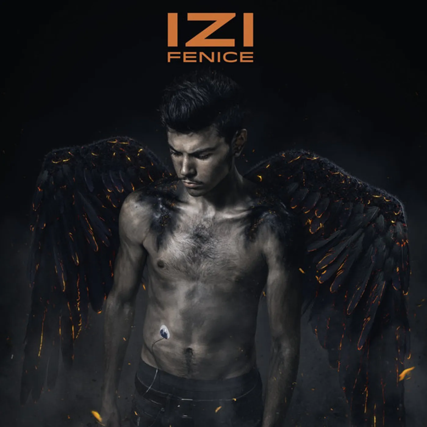 Izi Fenice Vinyl Record