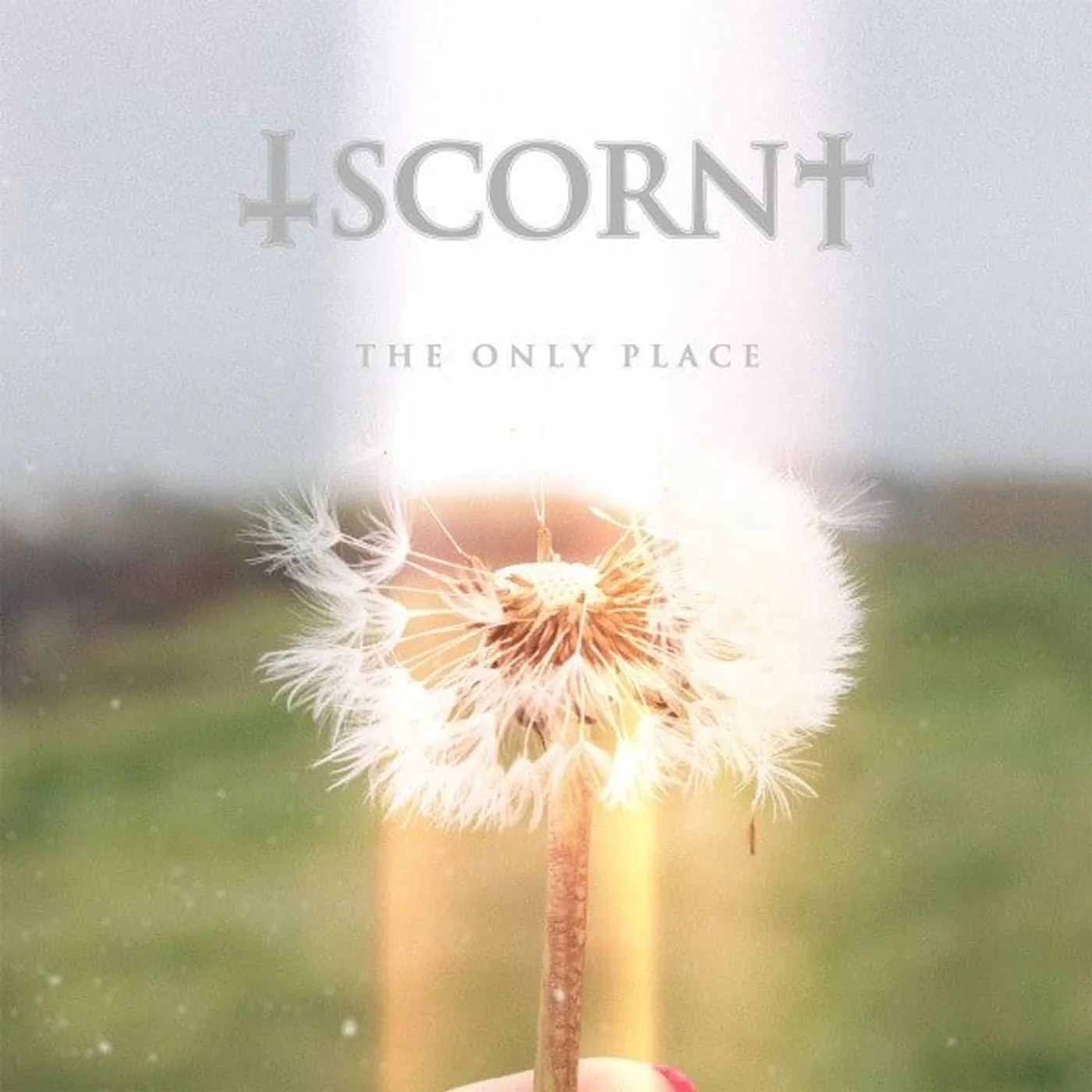 Scorn ONLY PLACE Vinyl Record