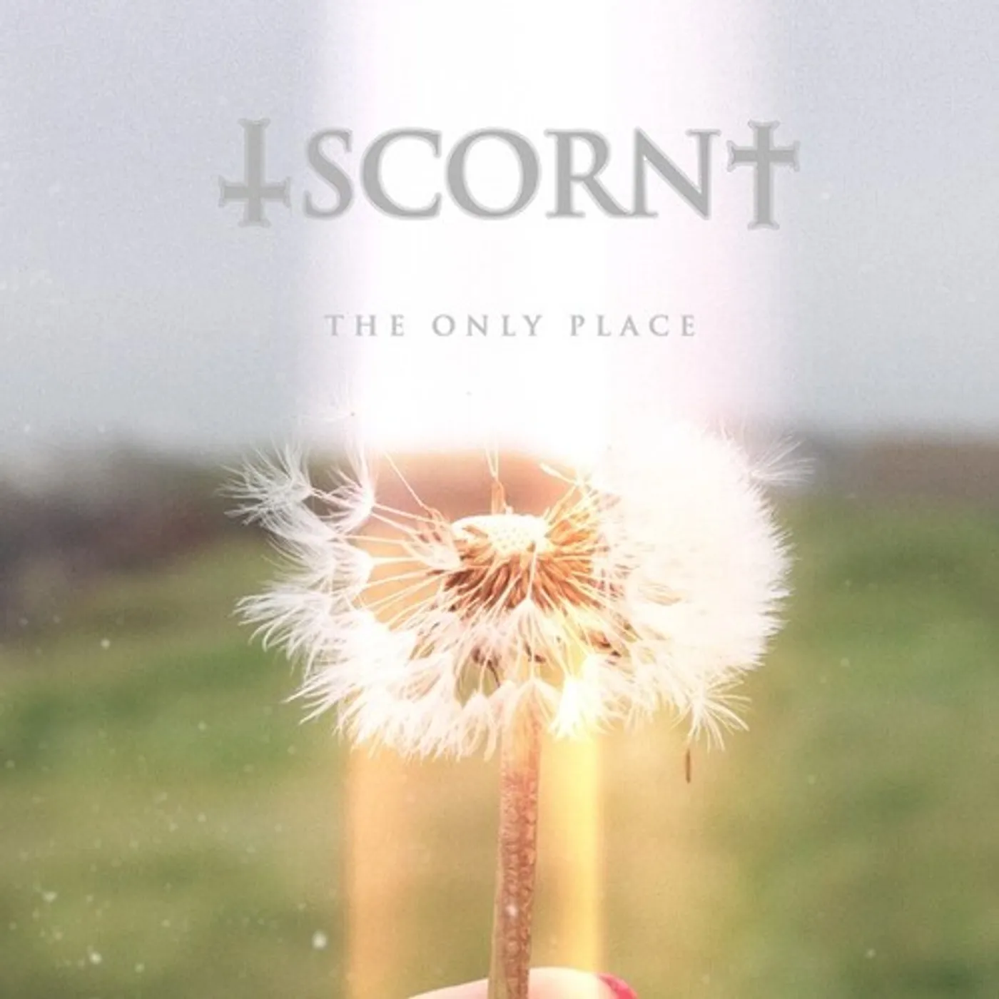 Scorn ONLY PLACE CD