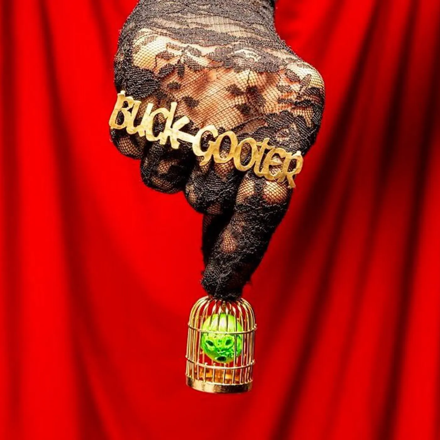 Buck Gooter Head in a Bird Cage Vinyl Record