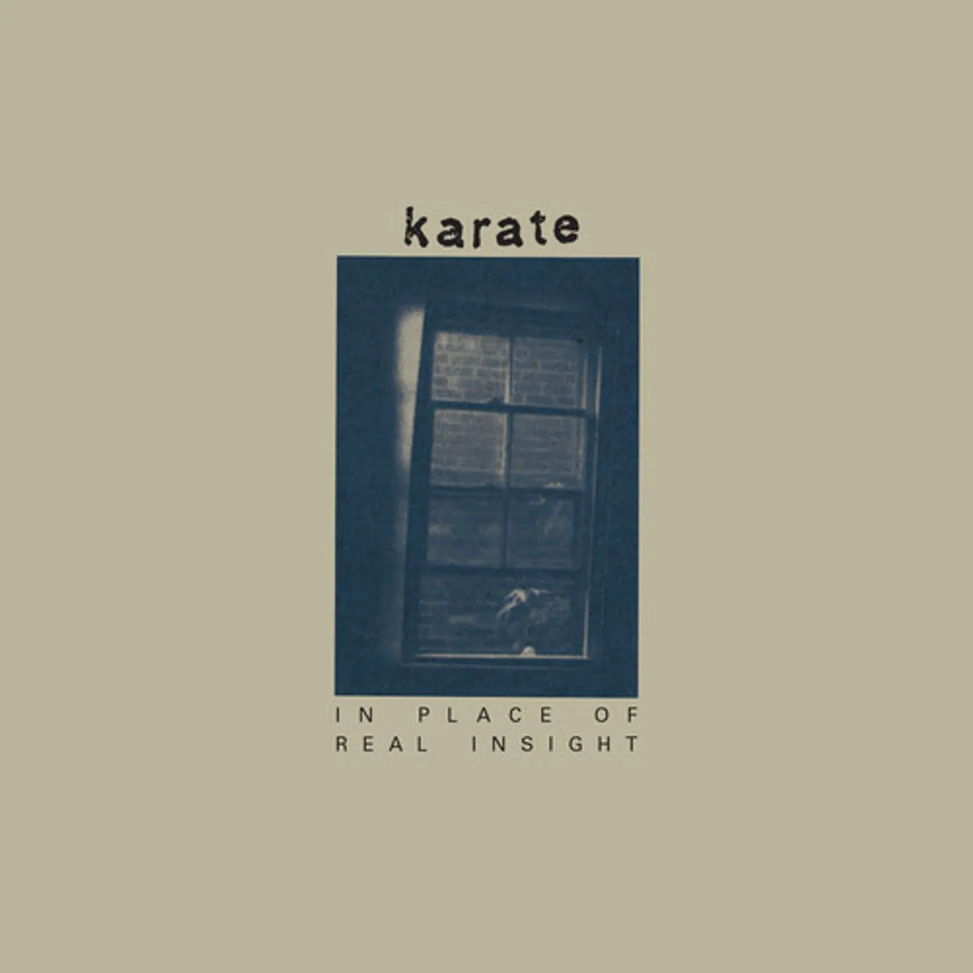 Karate In Place Of Real Insight Vinyl Record