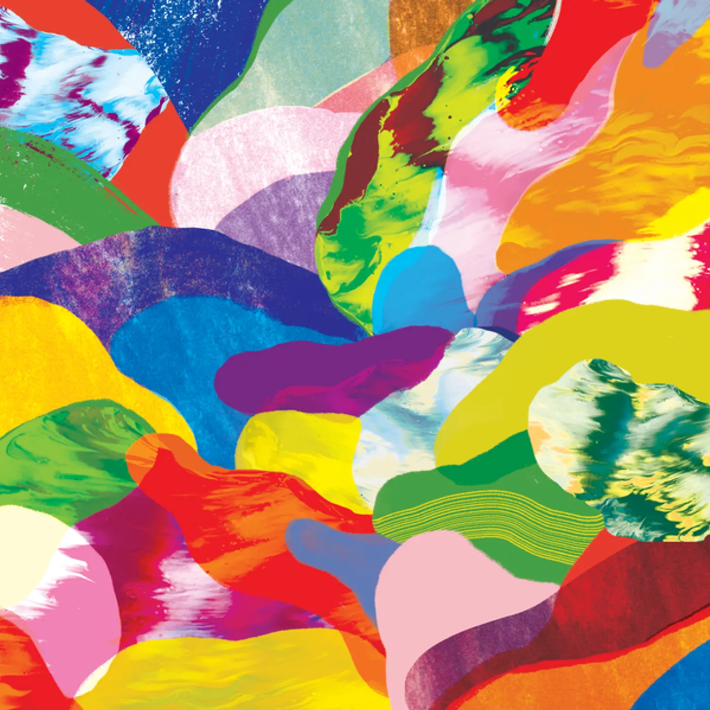 mssv Media Kittens / When The Hoarding Has Ended Vinyl Record