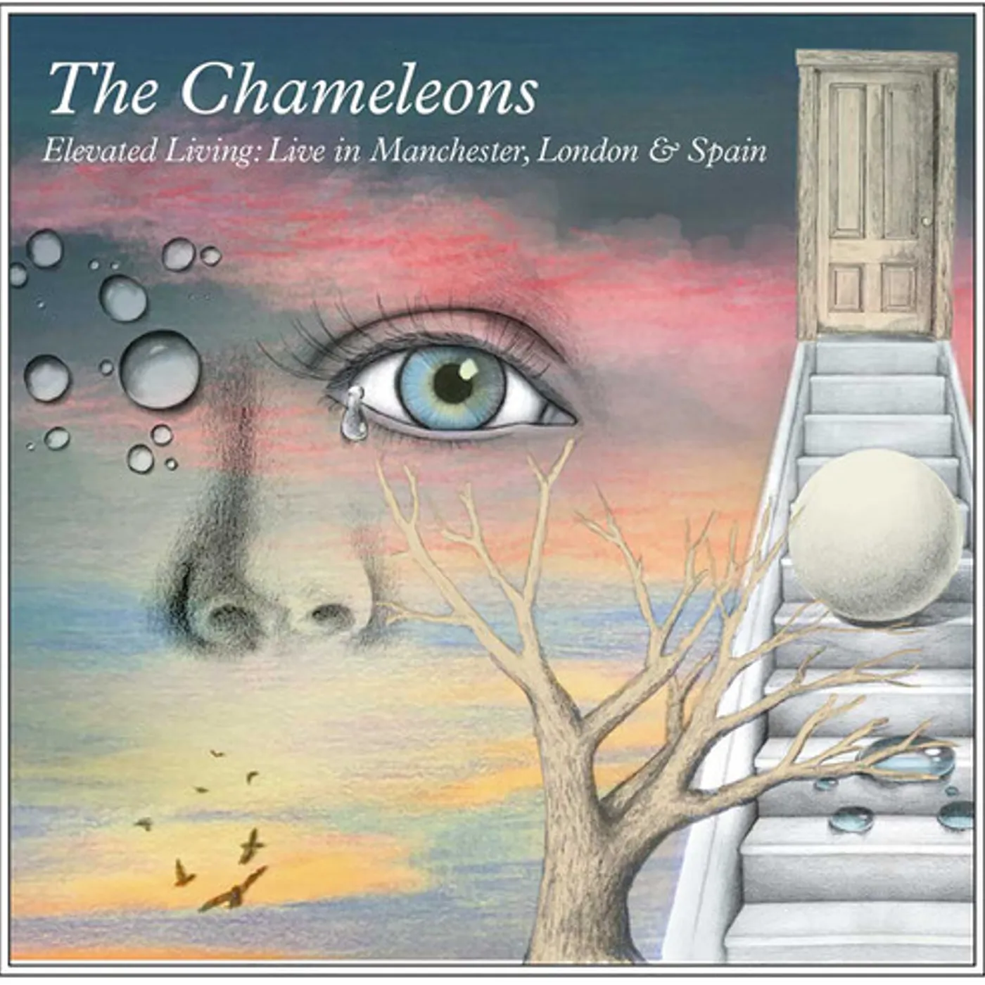 The Chameleons ELEVATED LIVING CD