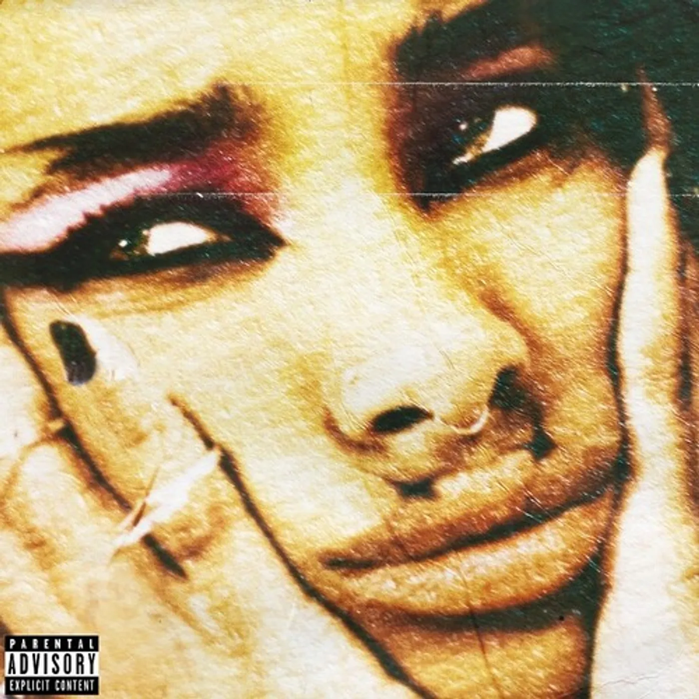 Willow Smith lately I feel EVERYTHING Vinyl Record