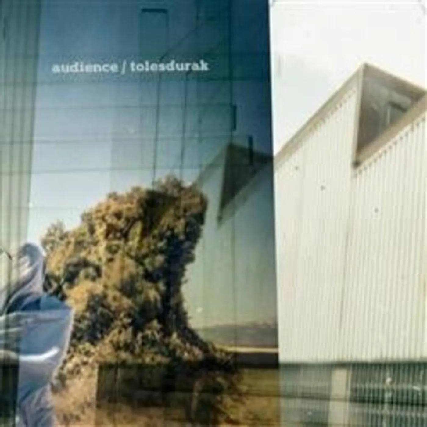 Audience TOLESDURAK Vinyl Record