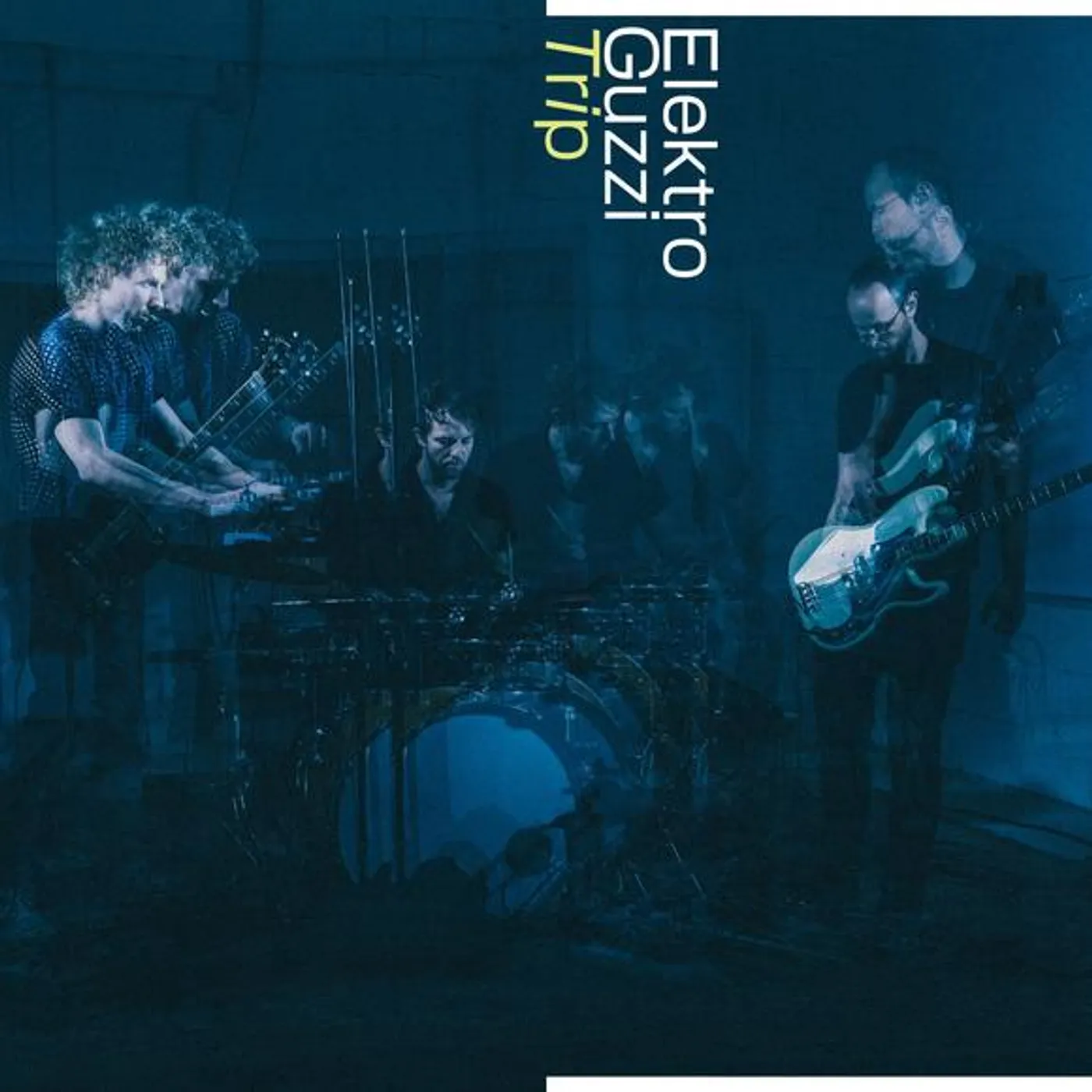 Elektro Guzzi Trip Vinyl Record