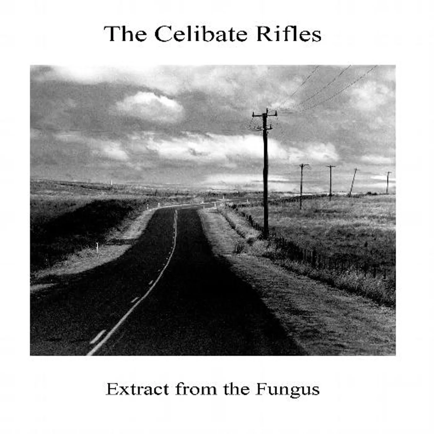 The Celibate Rifles Extract from the Fungus Vinyl Record