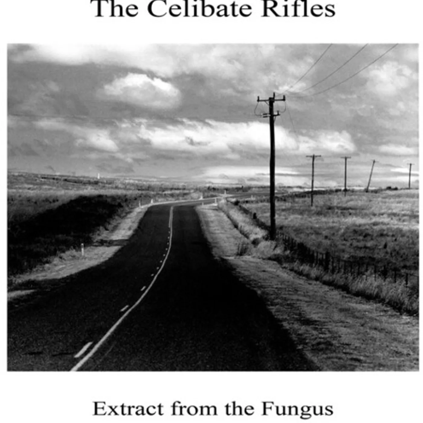 The Celibate Rifles Extract from the Fungus Vinyl Record