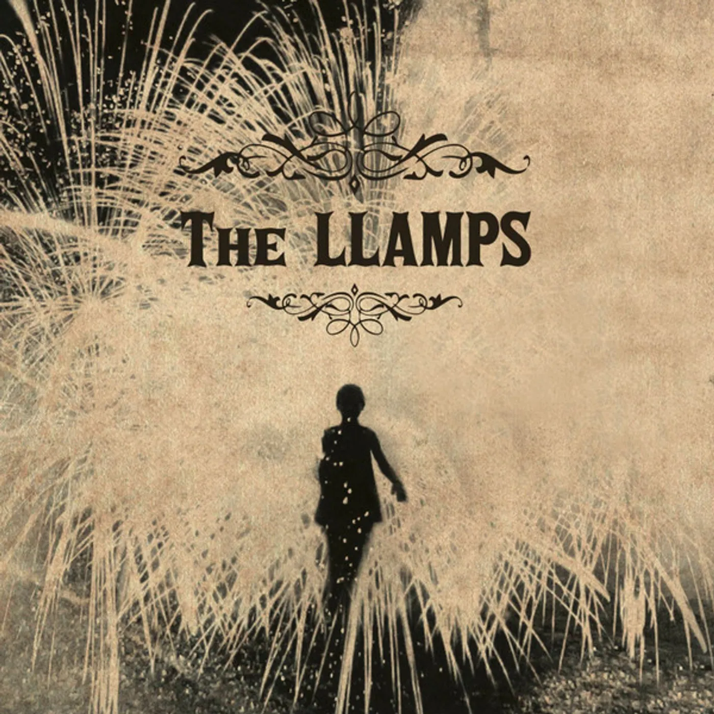 The Llamps Vinyl Record