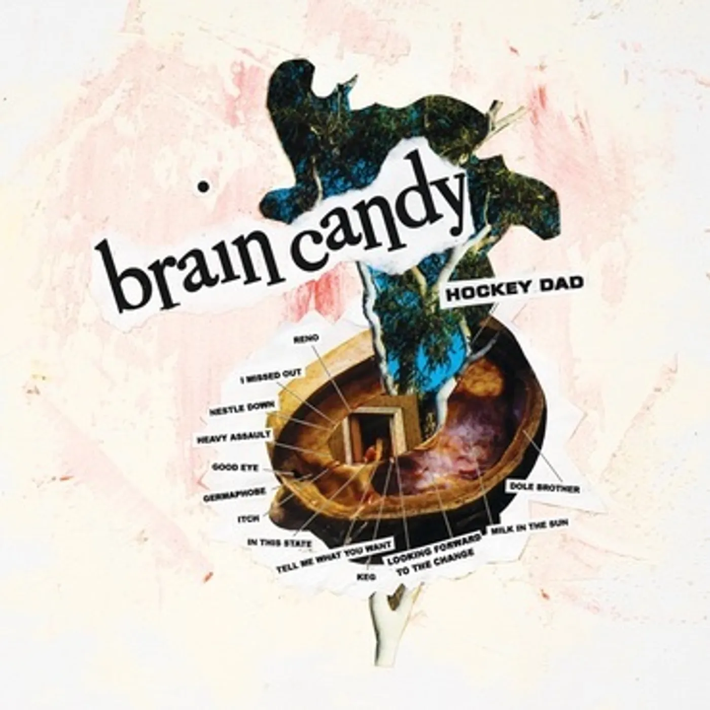 Hockey Dad Brain Candy Vinyl Record