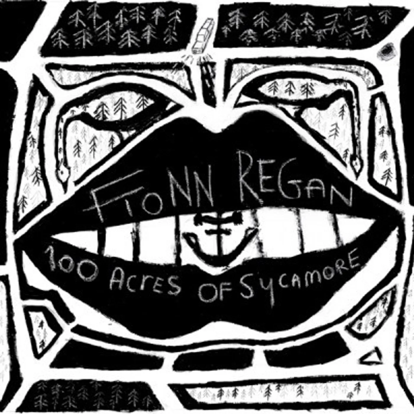 Fionn Regan 100 Acres Of Sycamore Vinyl Record