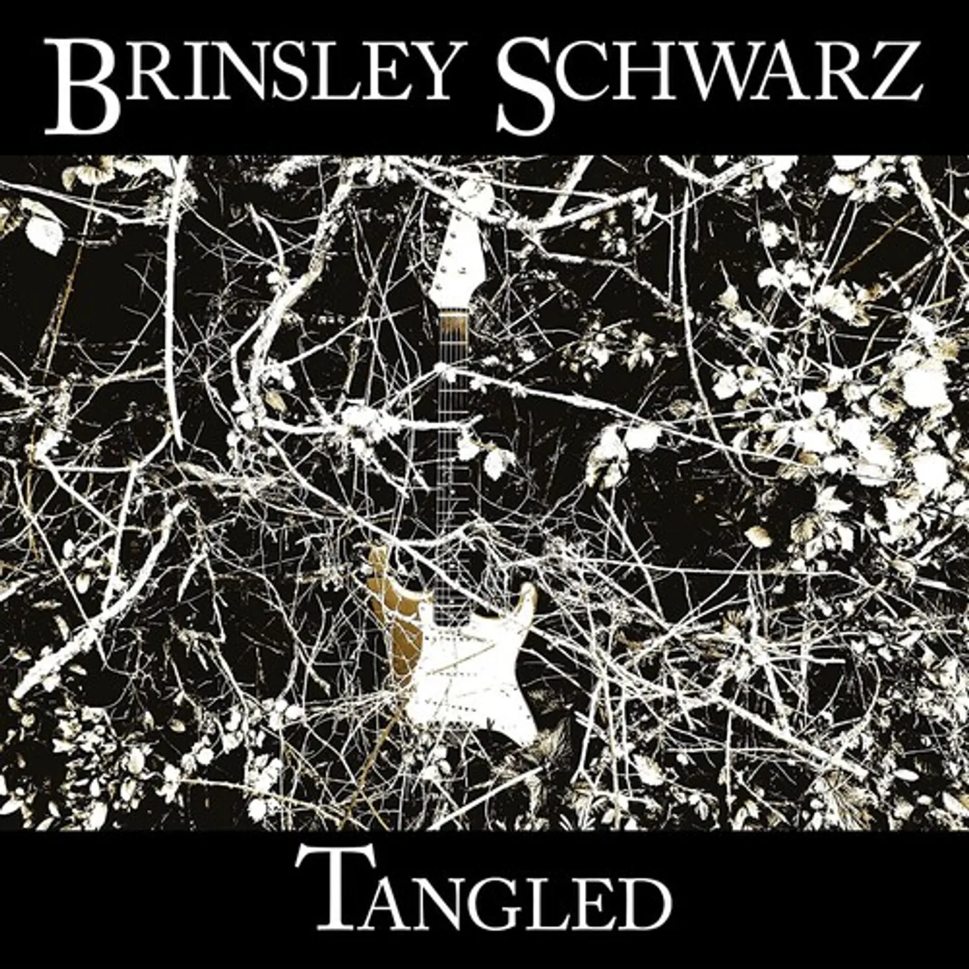 Brinsley Schwarz TANGLED CD