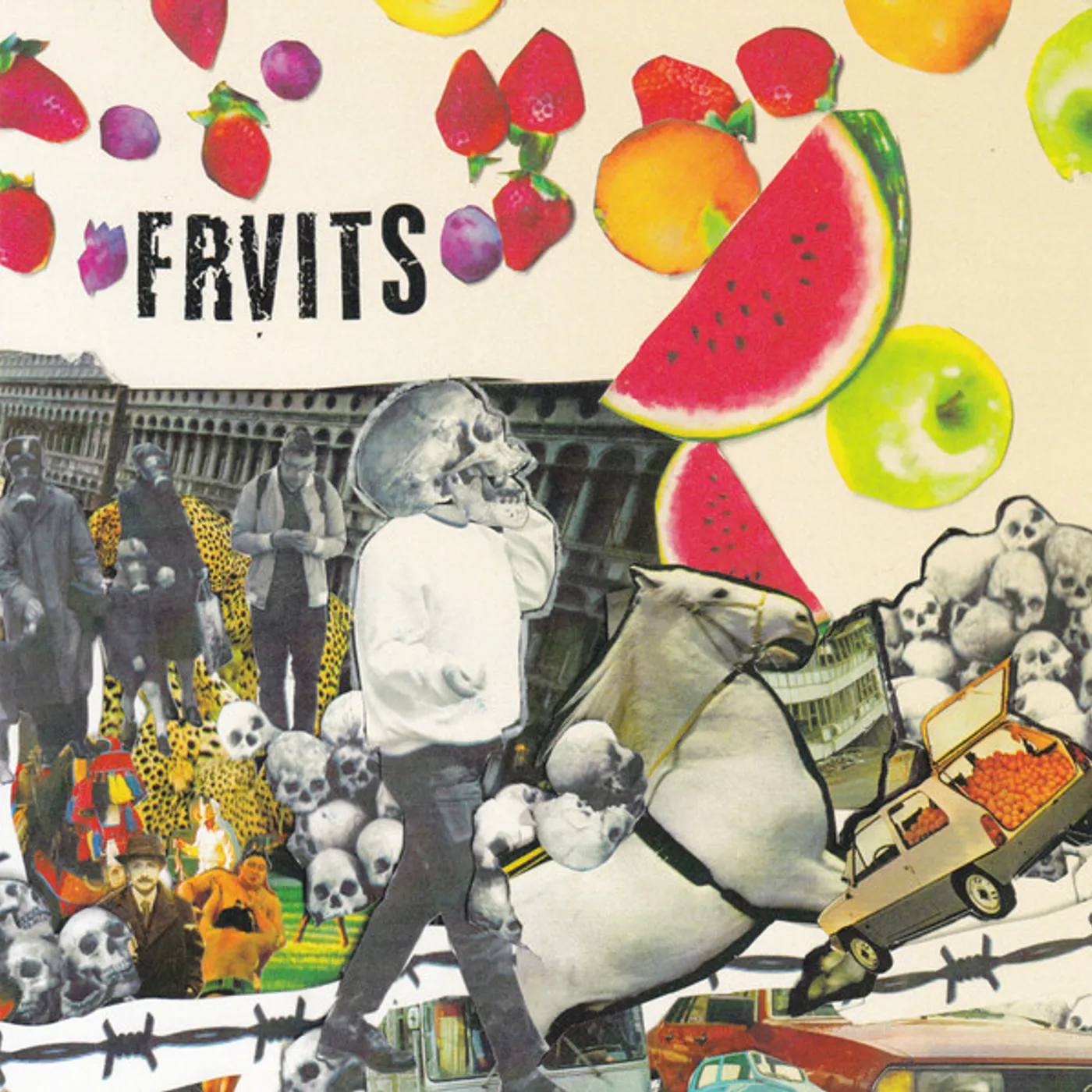 Frvits Stupid Era Vinyl Record