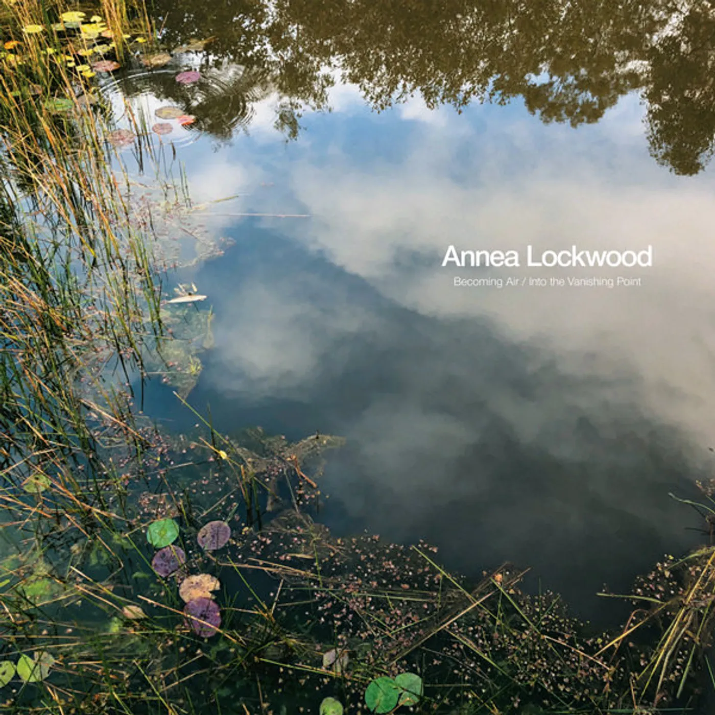 Annea Lockwood Becoming Air / Into The Vanishing Point Vinyl Record