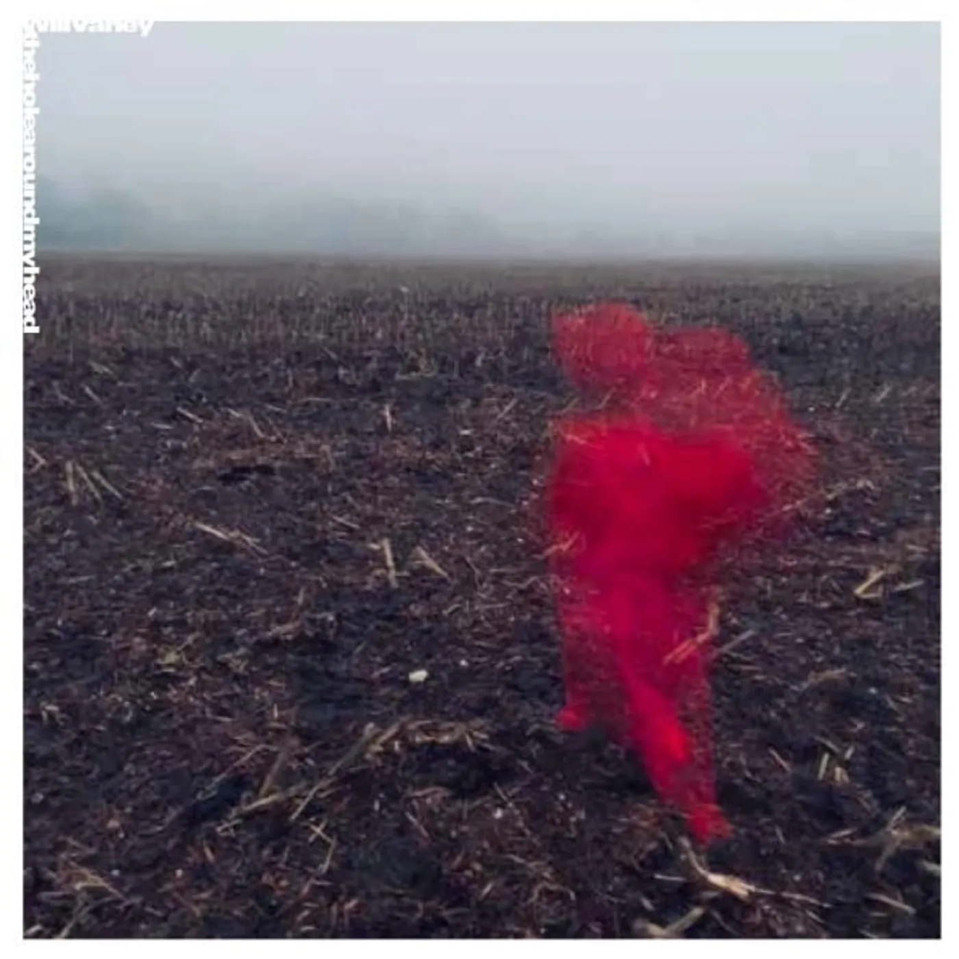 Will Varley HOLE AROUND MY HEAD Vinyl Record