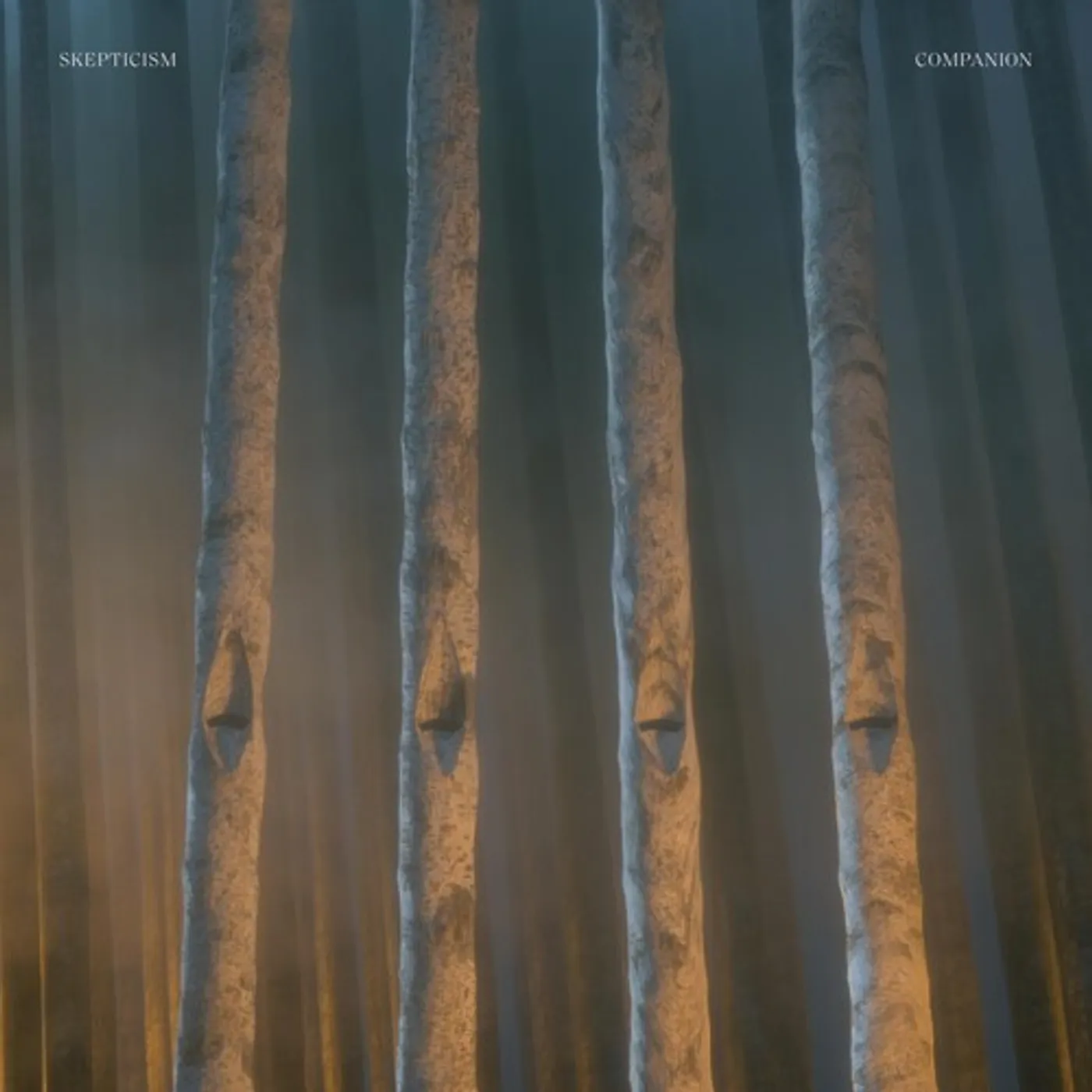 Skepticism COMPANION CD