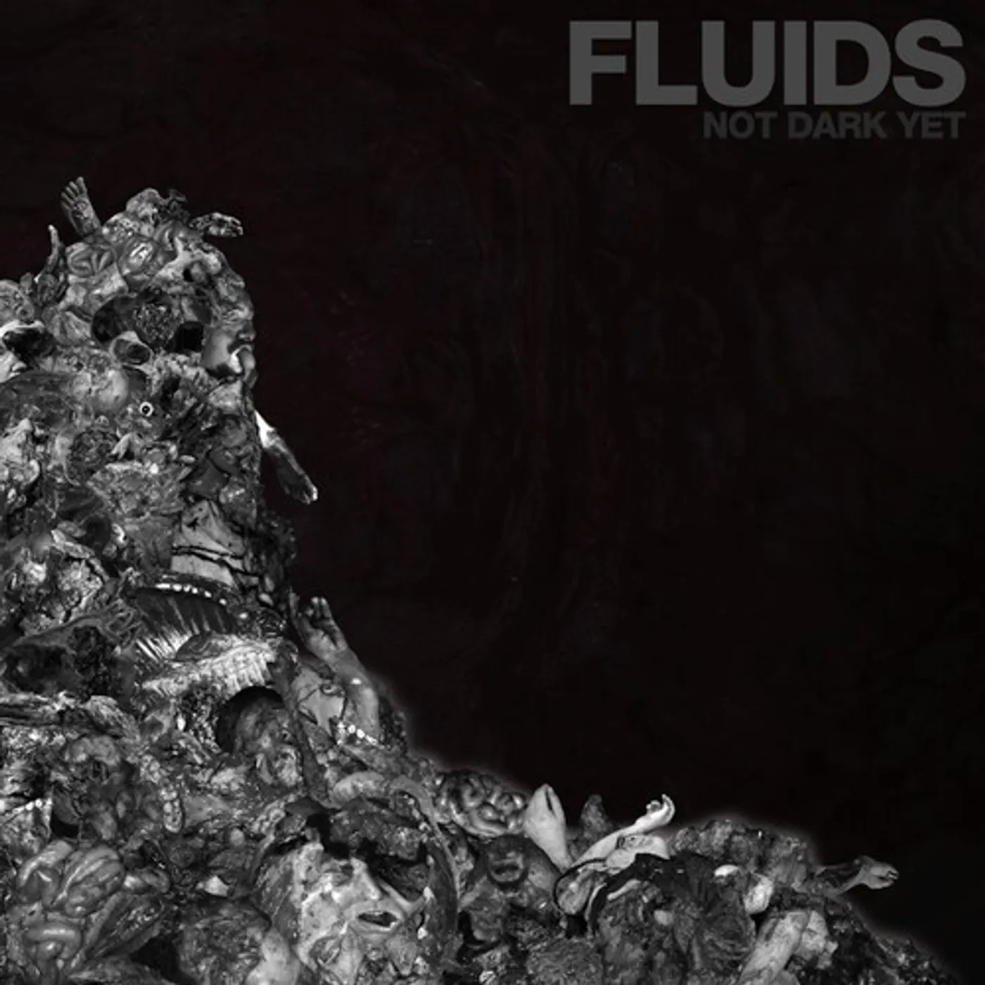 Fluids NOT DARK YET CD