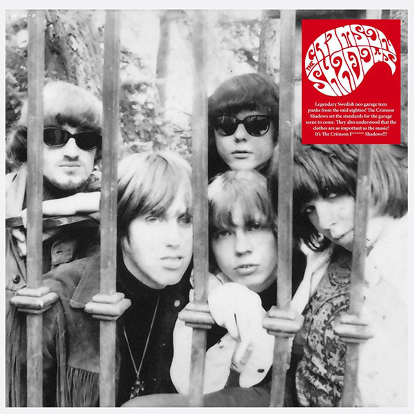 Crimson Shadows IT'S THE F******* SHADOWS Vinyl Record