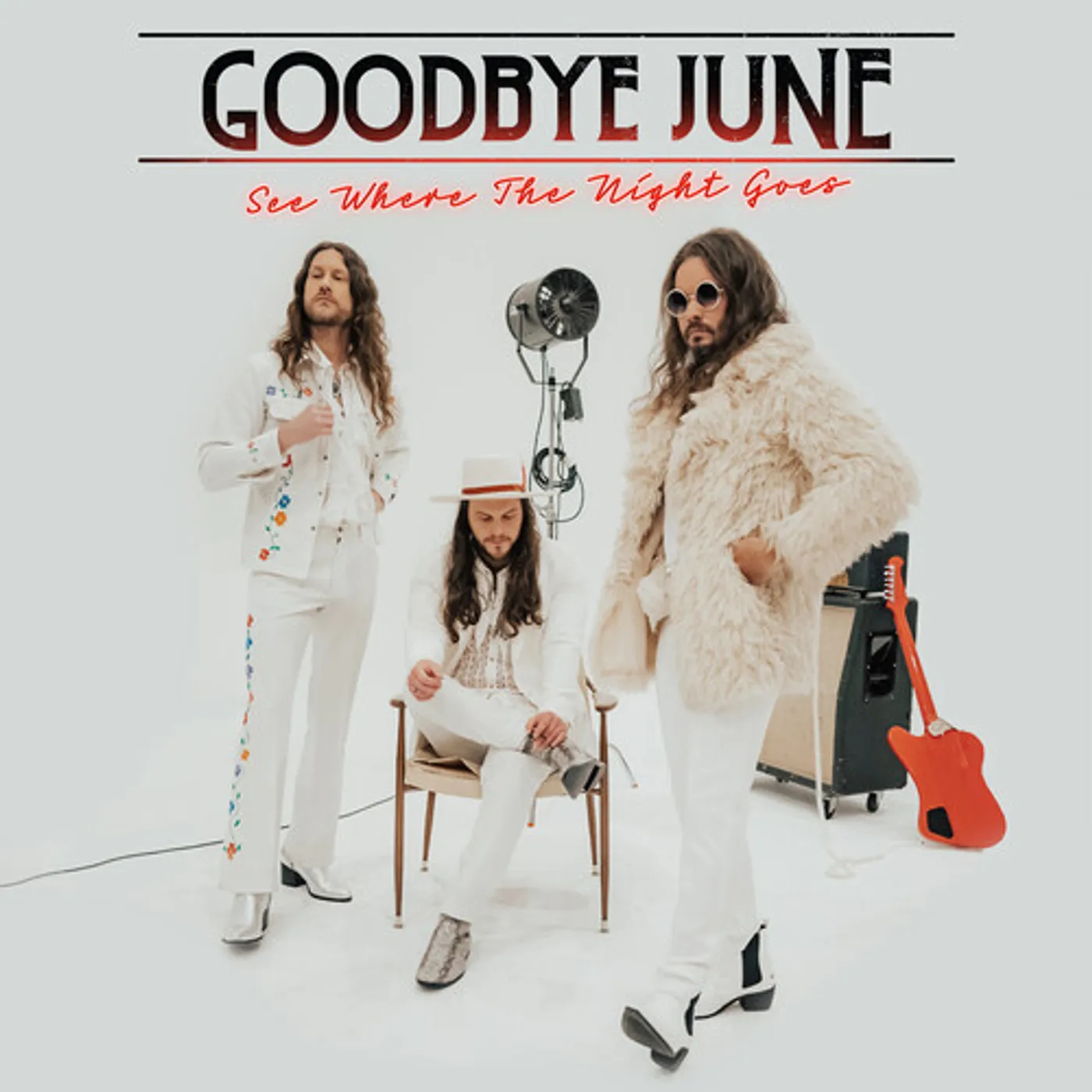 Goodbye June SEE WHERE THE NIGHT GOES CD